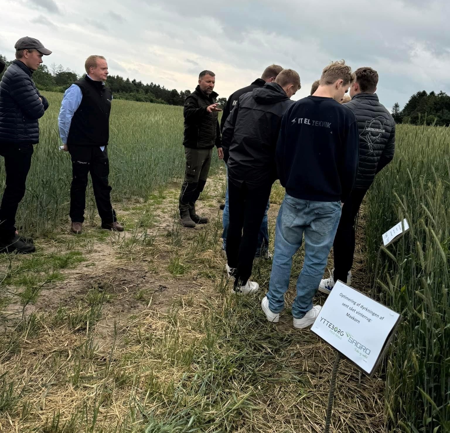 Biokul: Unge landmænd fandt inspiration til fremtiden i forsøgsmarken