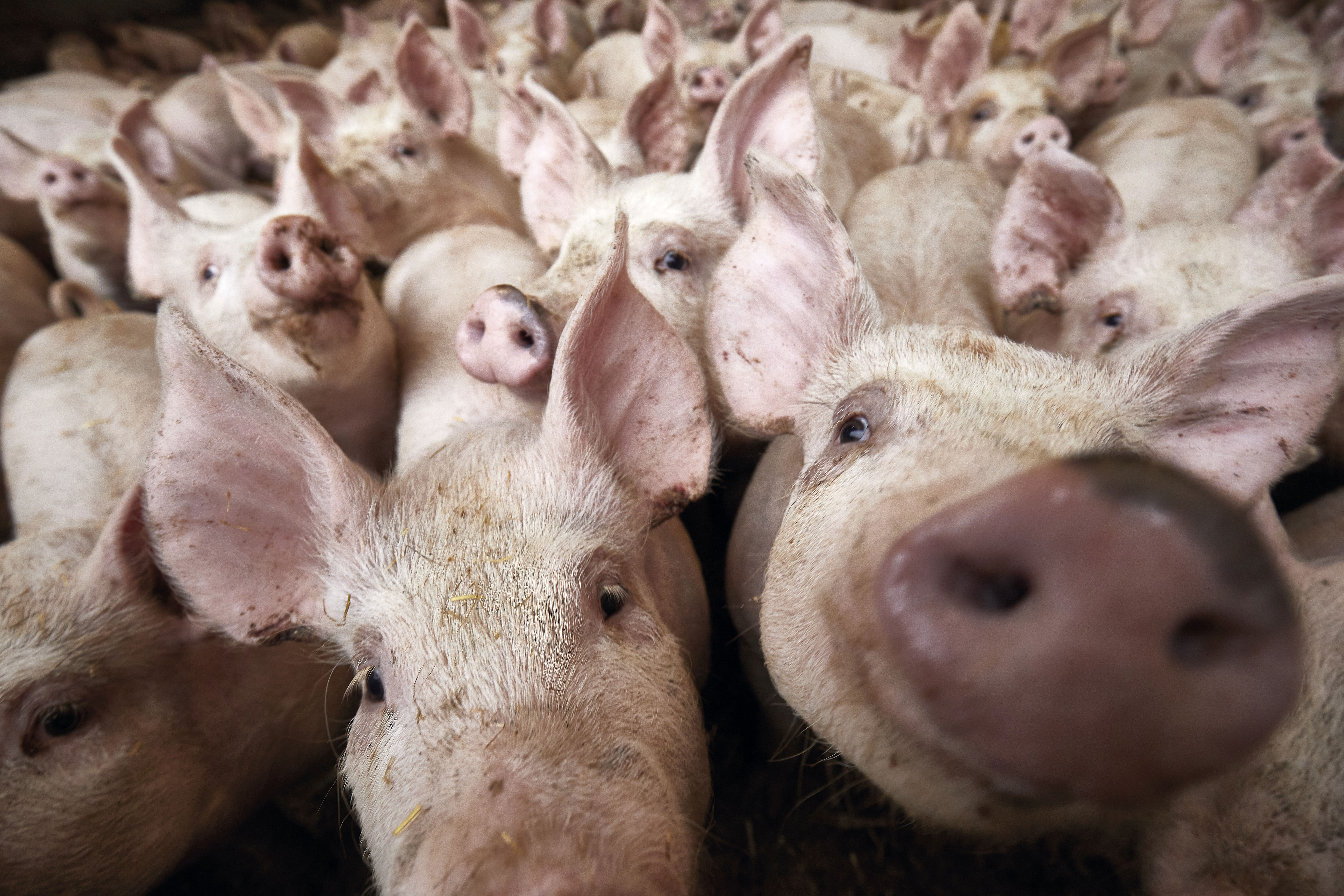 En miljøvurdering  kan spare dig  for meget