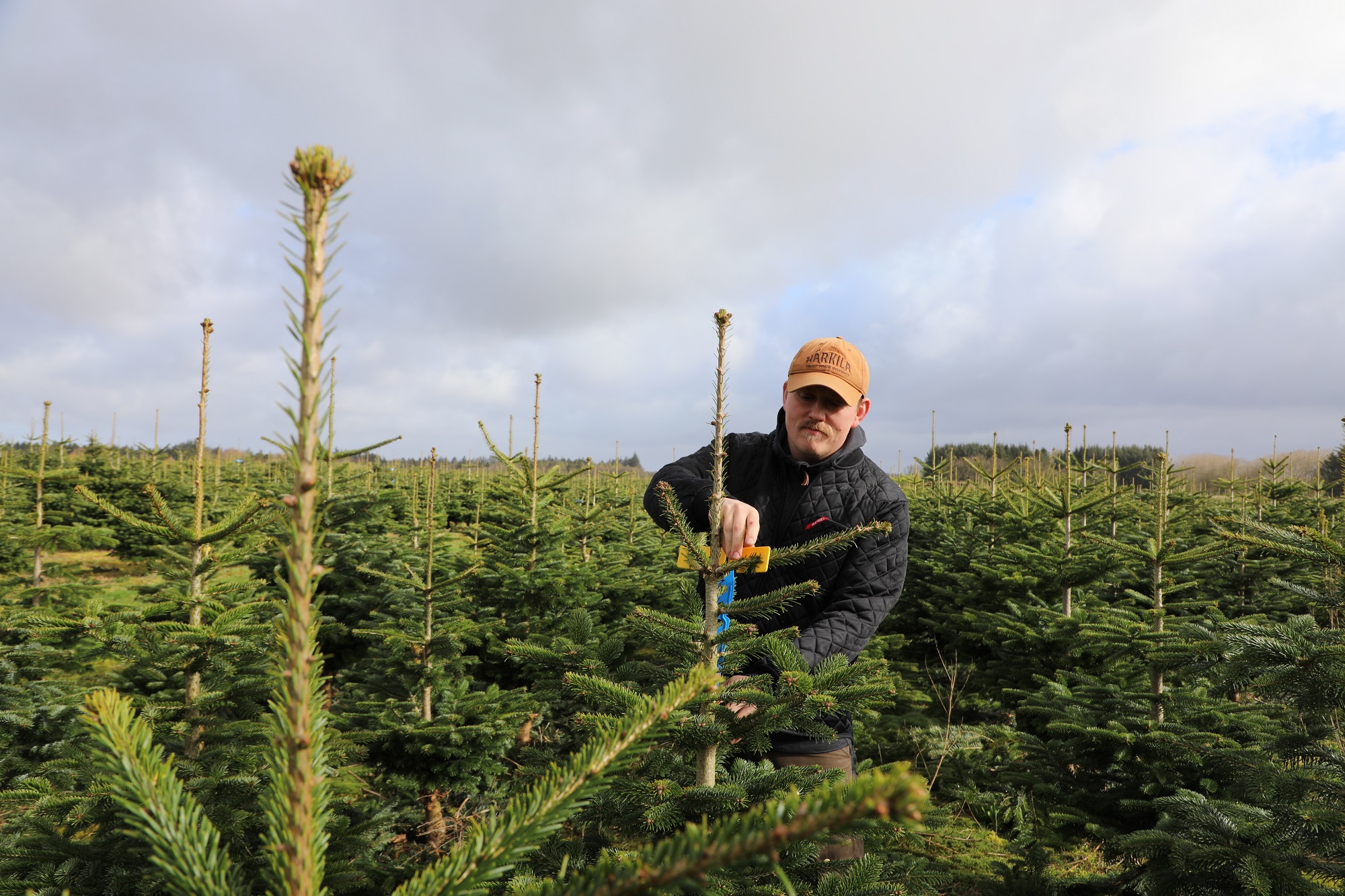 Kåre har ingen sure arbejdsdage:  Jeg nyder hver eneste dag på gården
