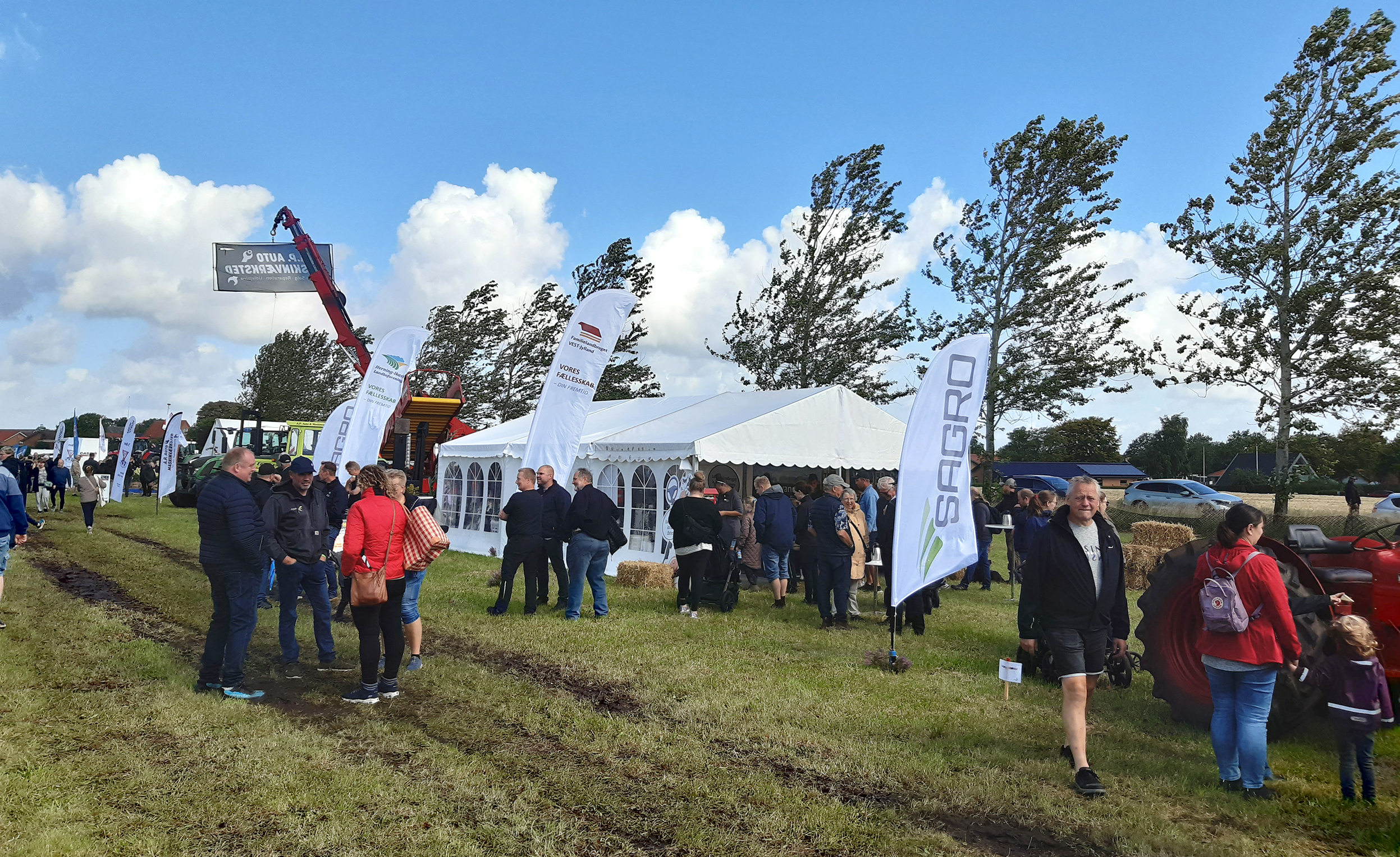 Den store dyrskueplads i Aulum var fyldt med både dyr, veteranbiler, traktorer og masser af aktiviteter