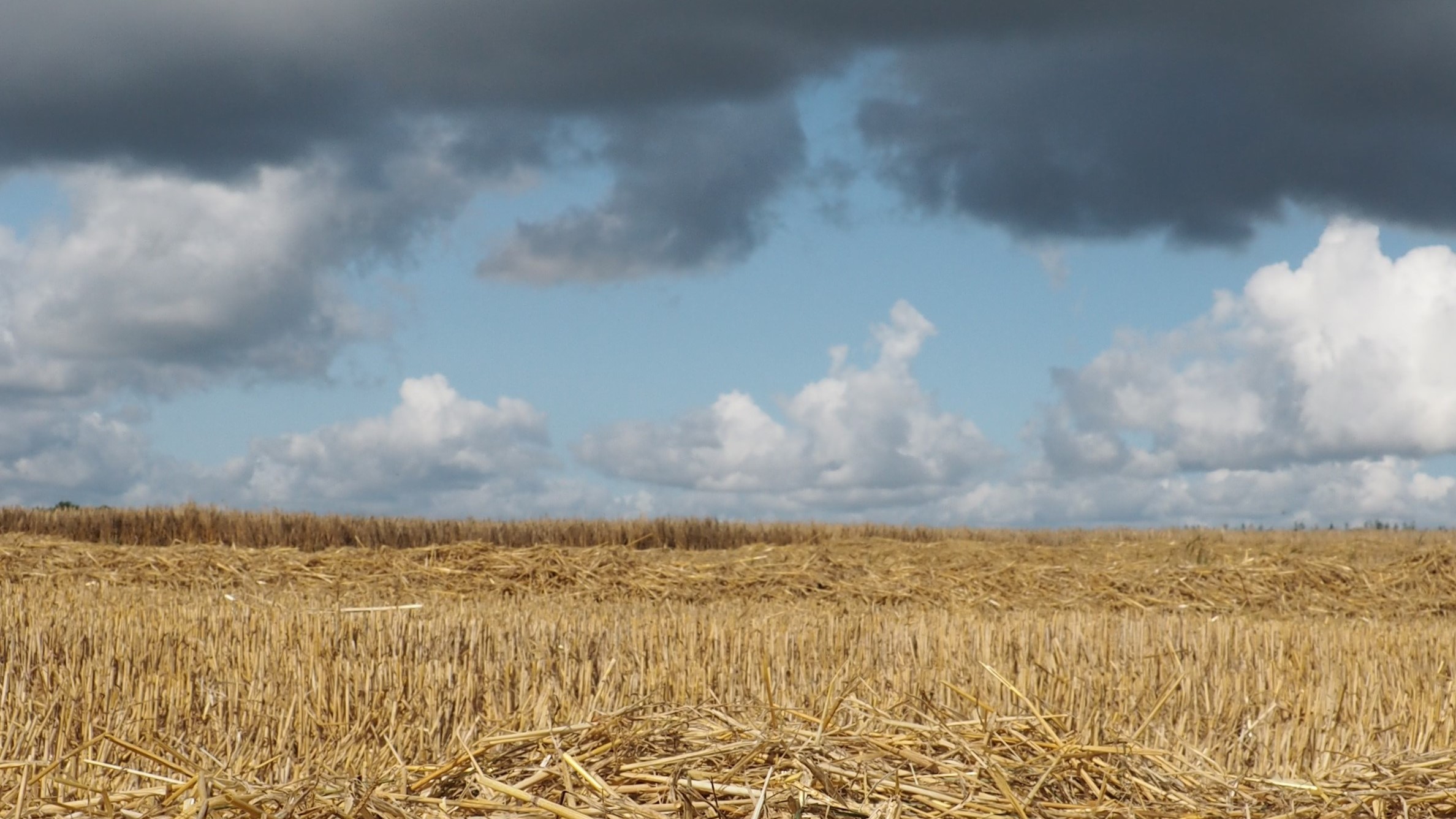 Har du styr på din halm-situation? Ellers er det nu, du skal få det