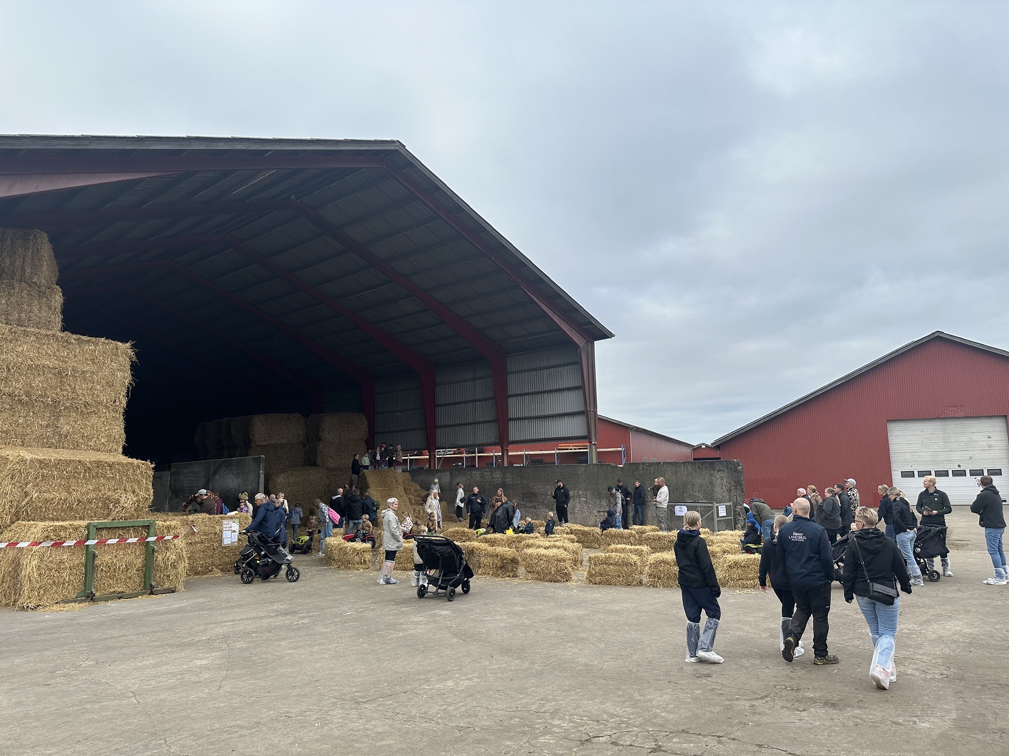 Åbent Landbrug: En dag med familie, læring og fællesskab
