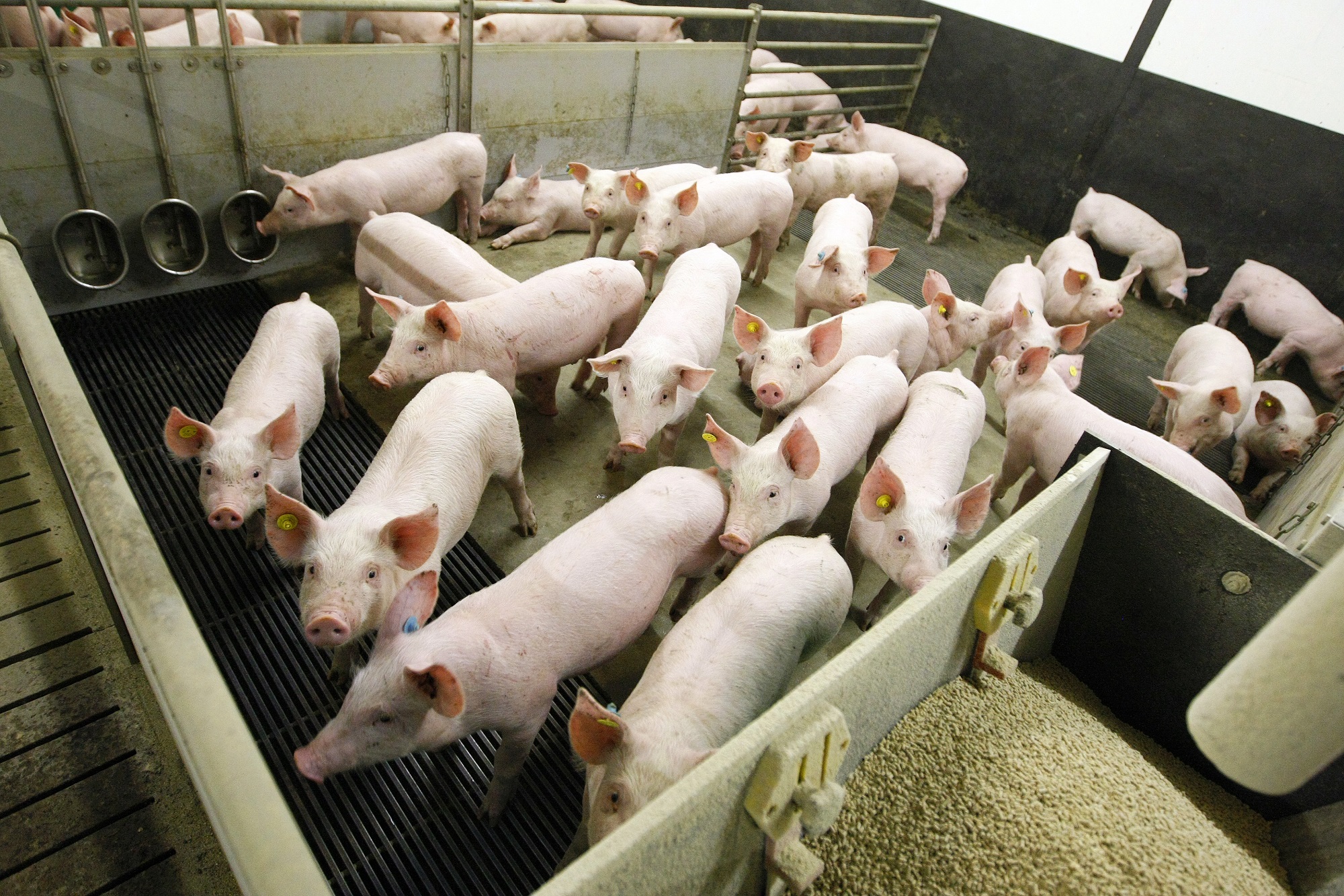 Det årlige miljøtilsyn er på trapperne – er du klar til det?