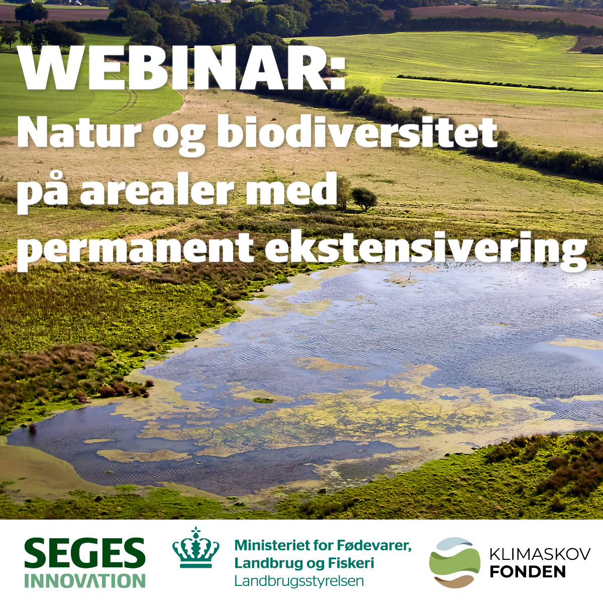 Webinar: Natur og biodiversitet på arealer med permanent ekstensivering