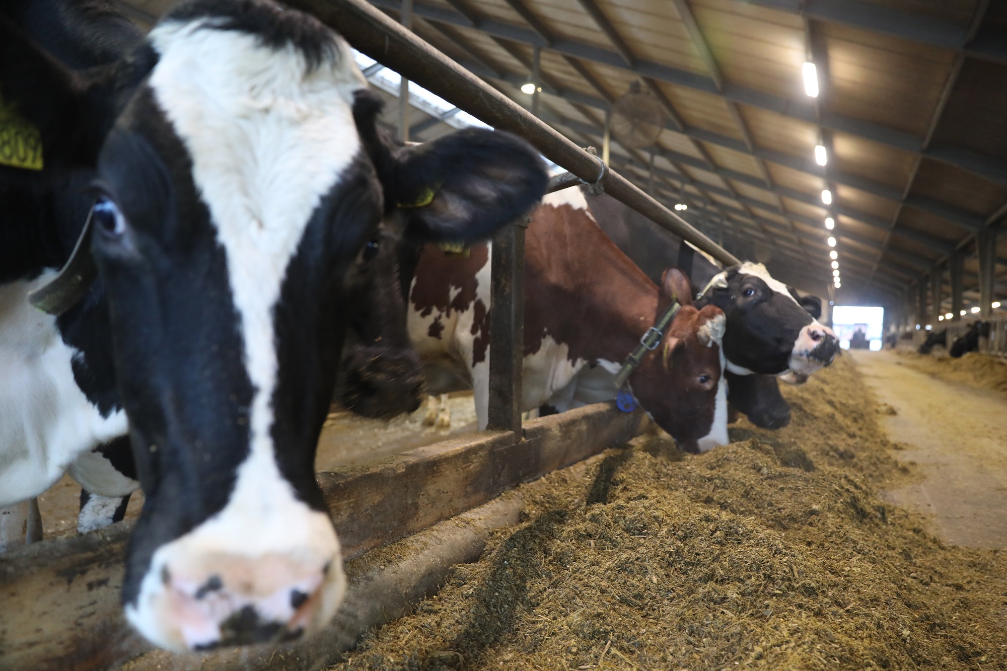 Få overblik over din grovfoderbeholdning og husk foderkontrollen