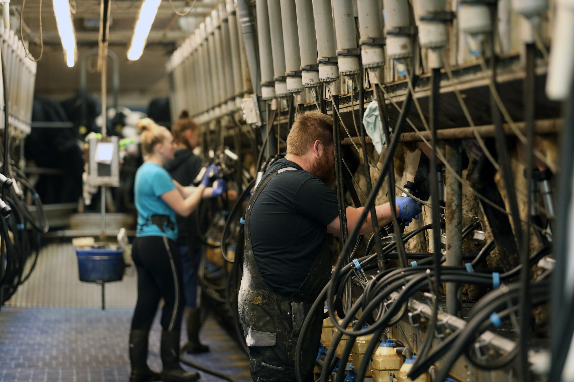 Forbedring af arbejdsmiljøet på bedriften er en god investering