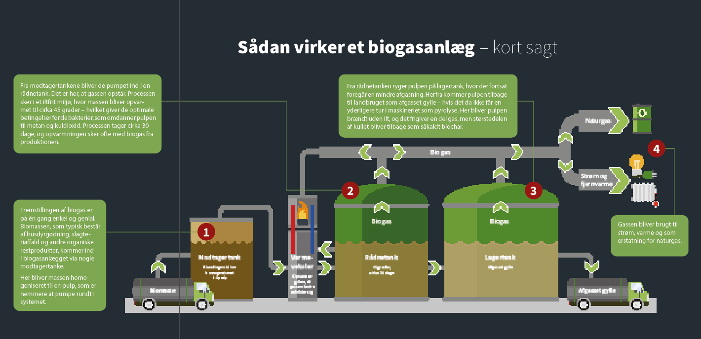 Gyllens tur gennem  biogasanlægget kan være en gave til  landmanden