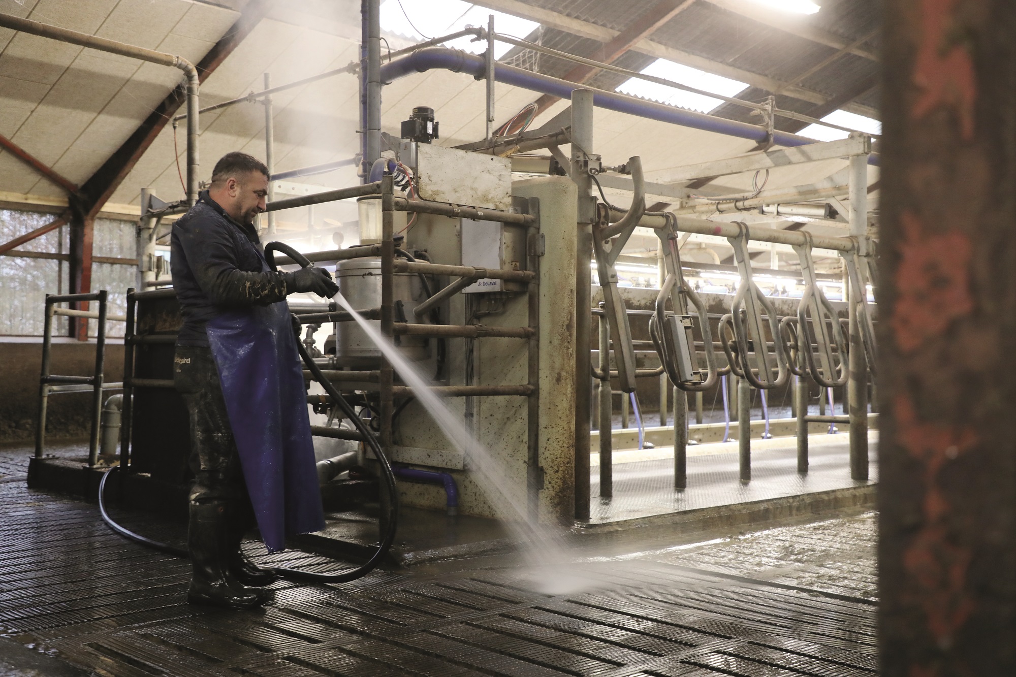 "Når arbejdskraften mangler, peger pilen også på os landmænd"