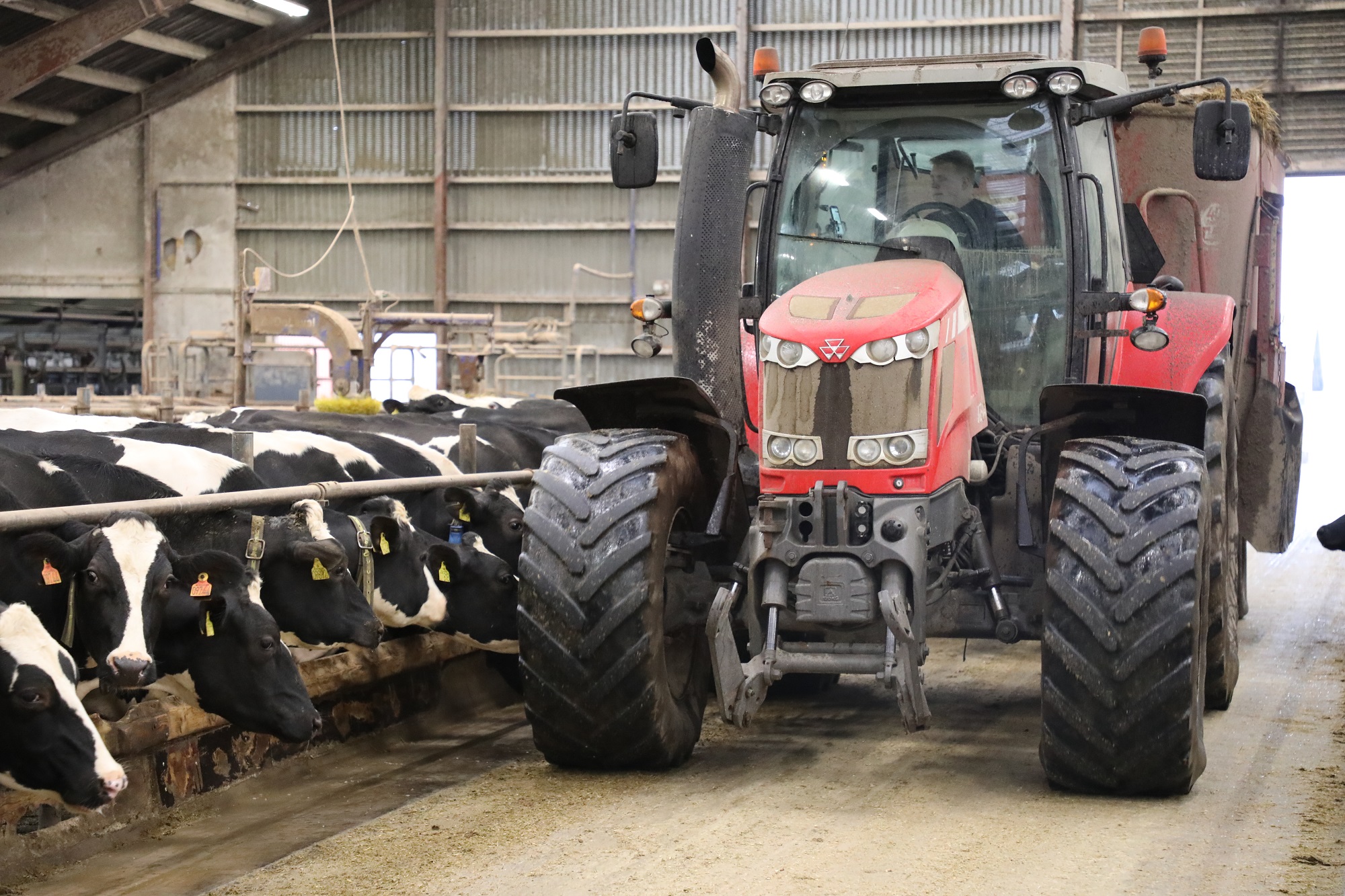 Kompetencer: Landmænd kan passe dyr, nu skal de lære at passe mennesker