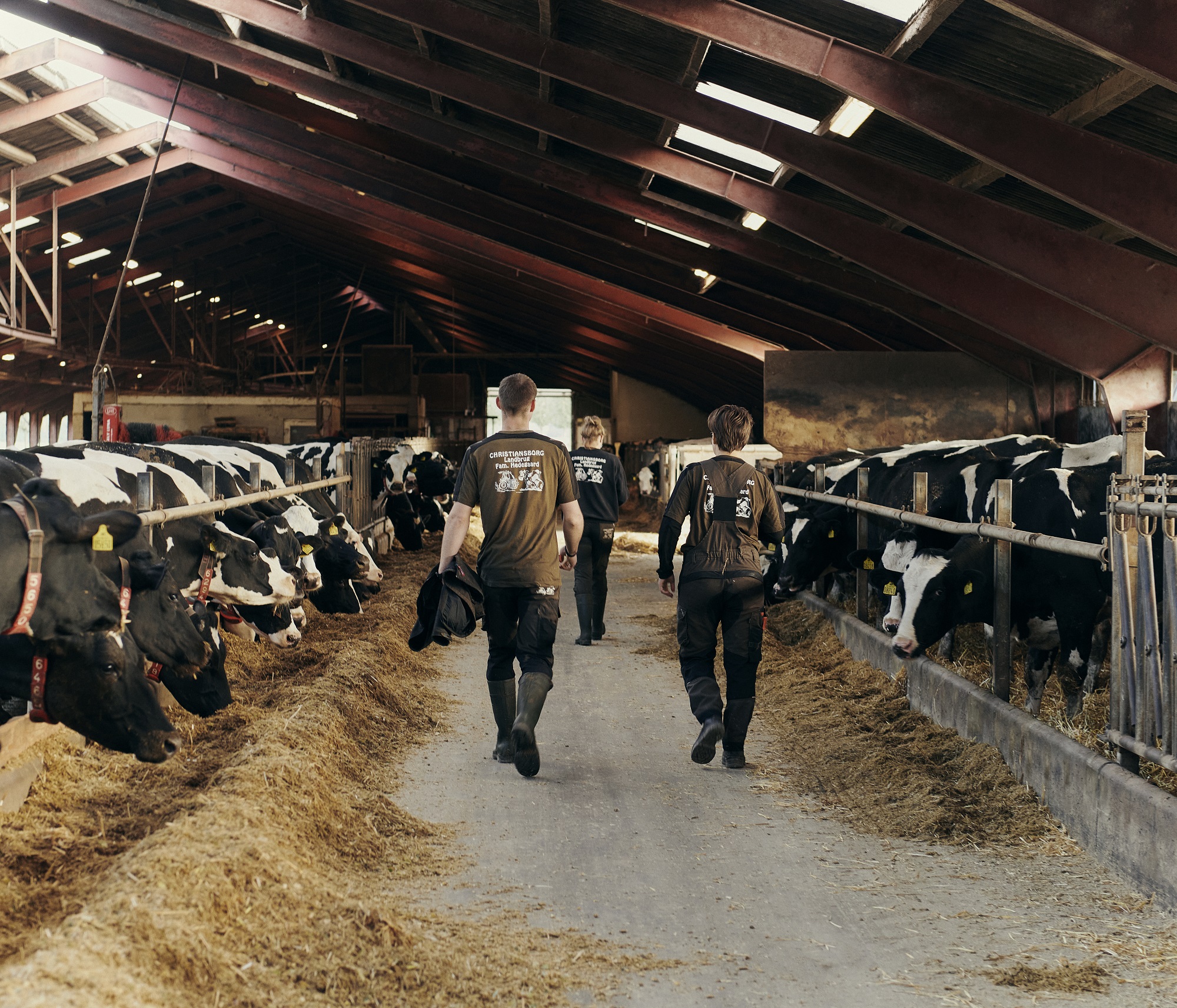 Landbrugsuddannelsen er populær og klæder de unge på til fremtidens krav