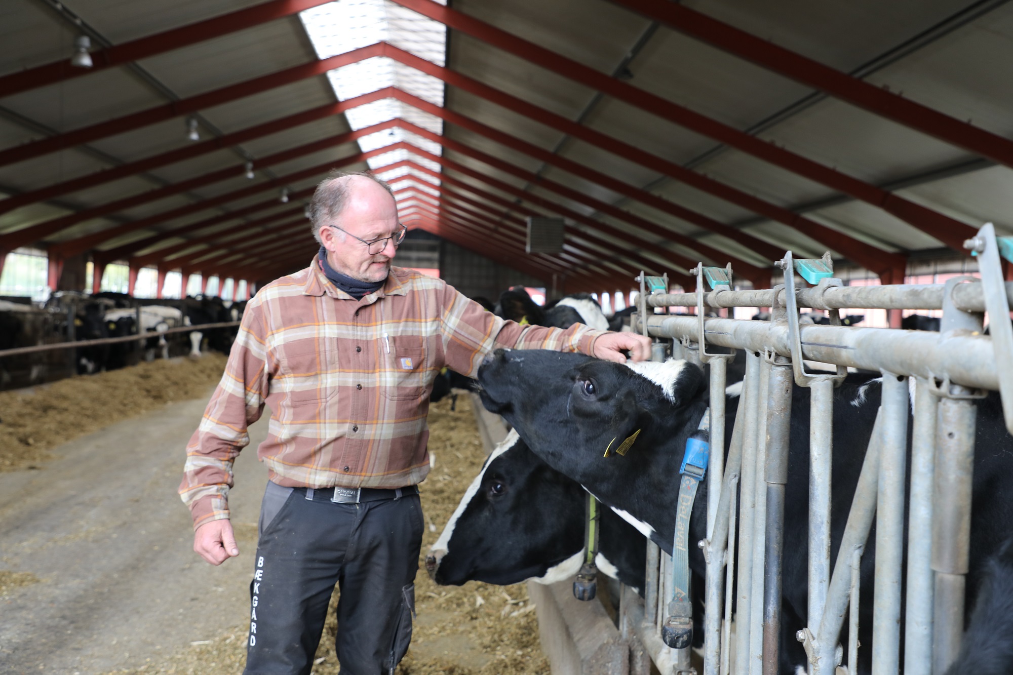 40 år på samme gård:  John er en uddøende race