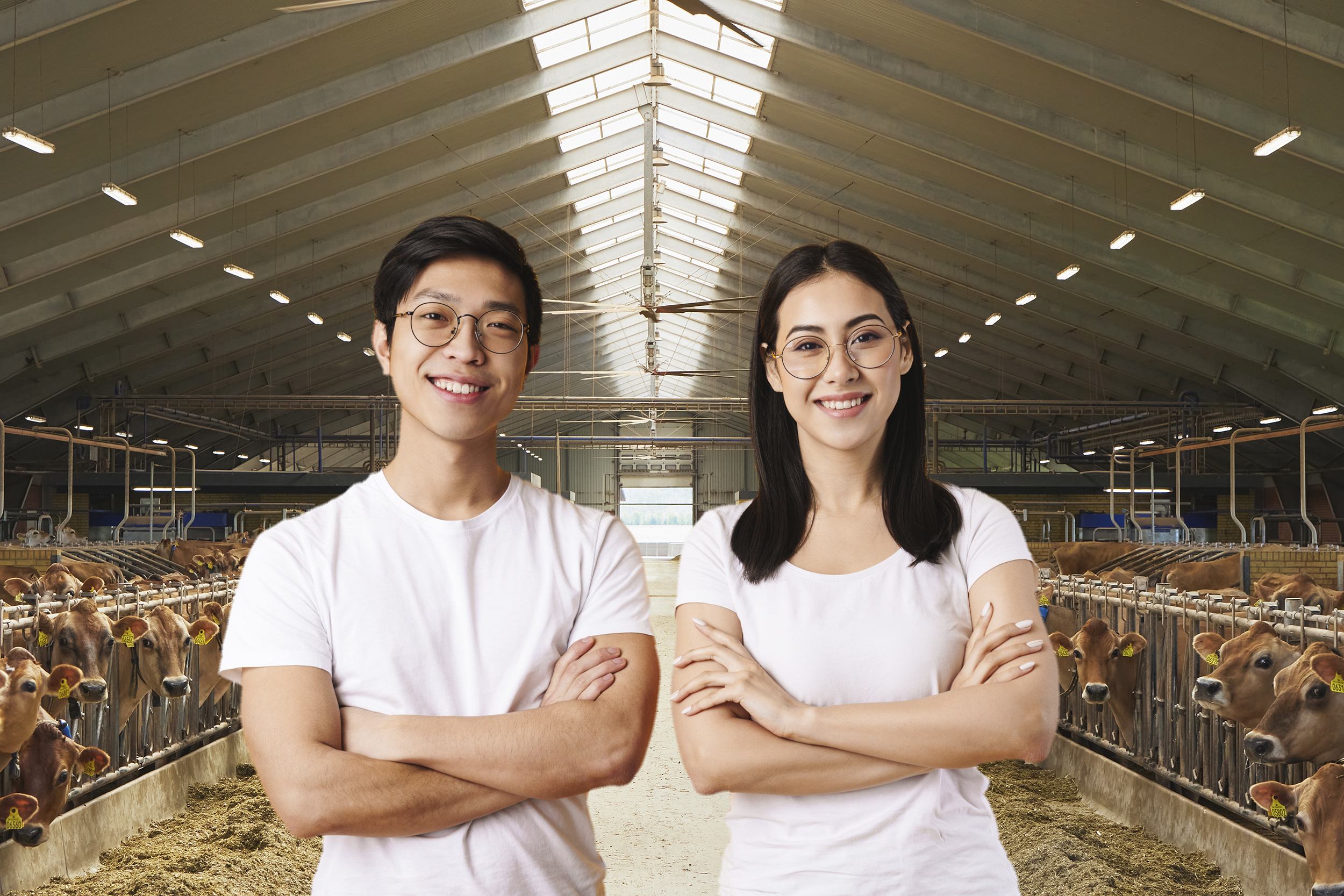 Vietnamesiske praktikanter er en succes på danske gårde – nu kommer  kenyanerne