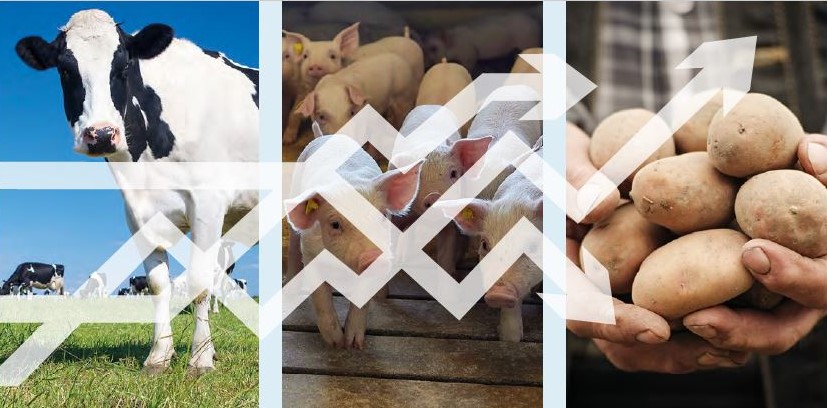 Økonomiske udsigter: Der er grund til optimisme for dansk landbrug i 2025