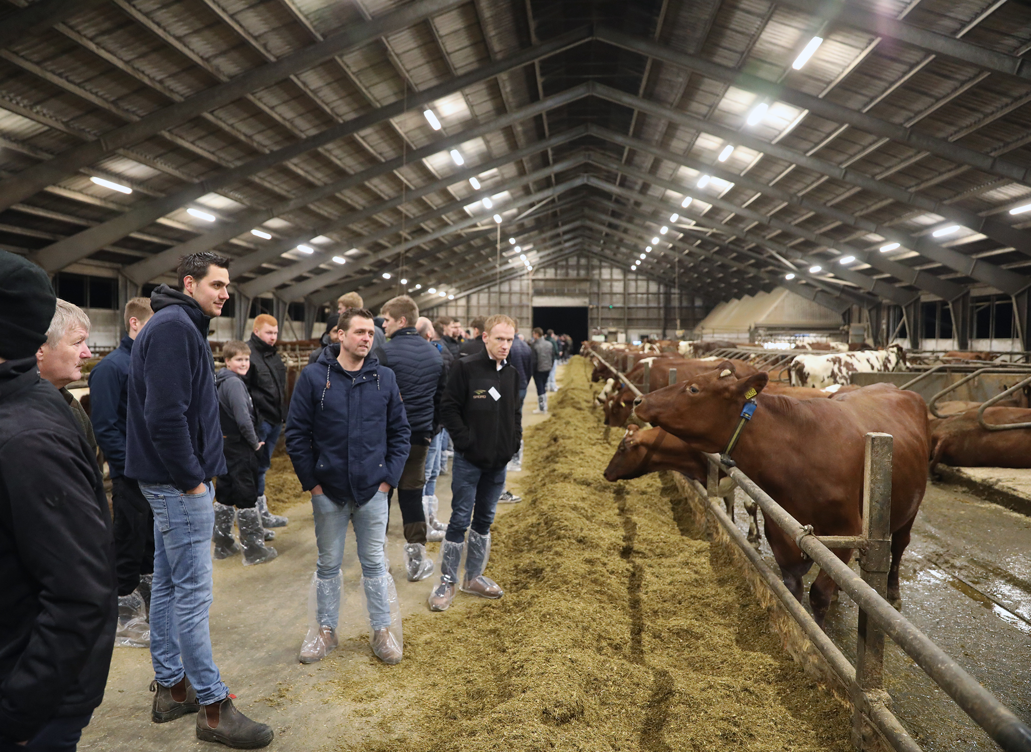 Stolt ny-etableret ung landmand viste rundt på Frederiksdal