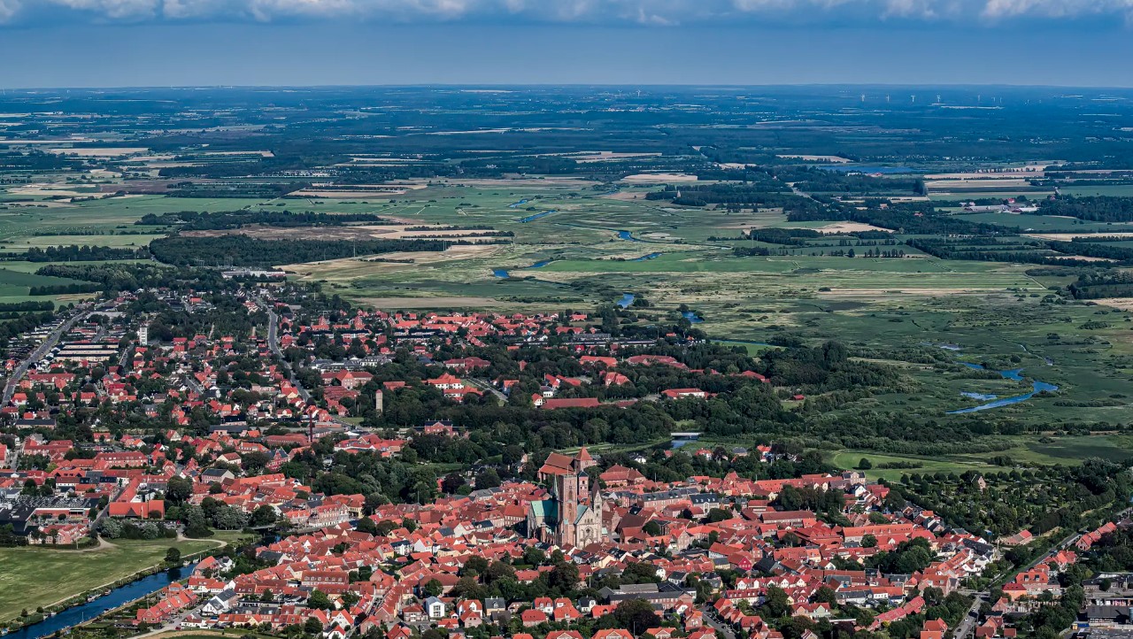 Danmarks største lavbundsprojekt på vej i Ribe: 2.700 hektar landbrugsjord kan blive våd natur