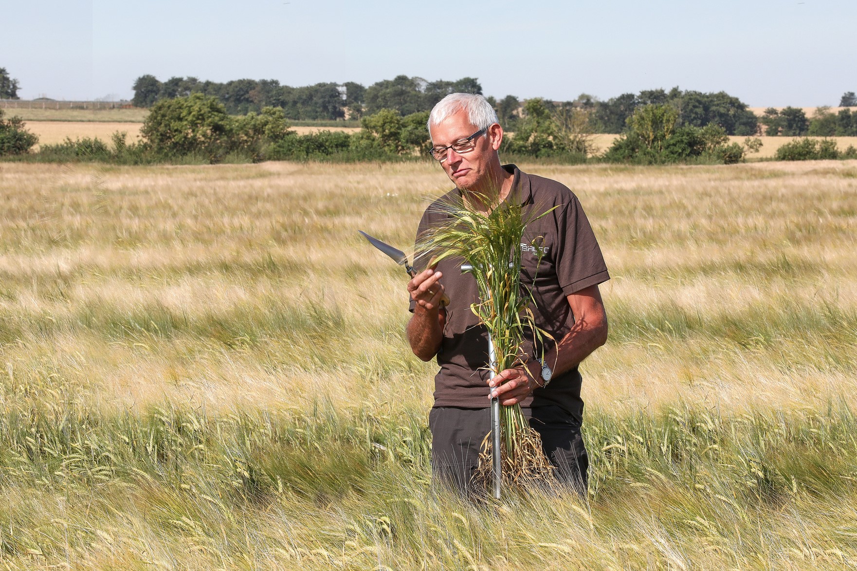 Klimaet udfordrer dansk landbrug