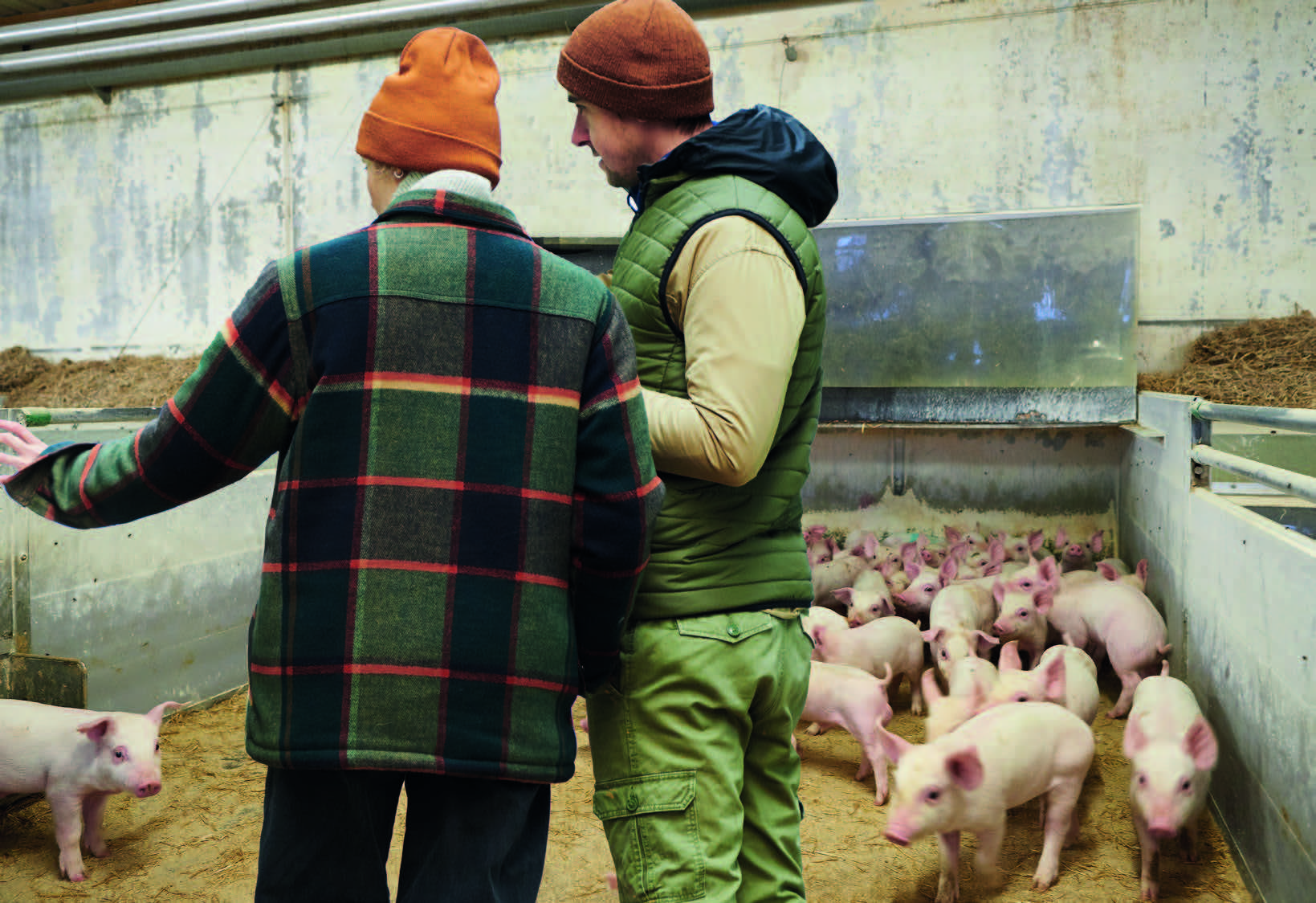 Bliv en stærkere leder med SAGRO og SvineRådgivningen