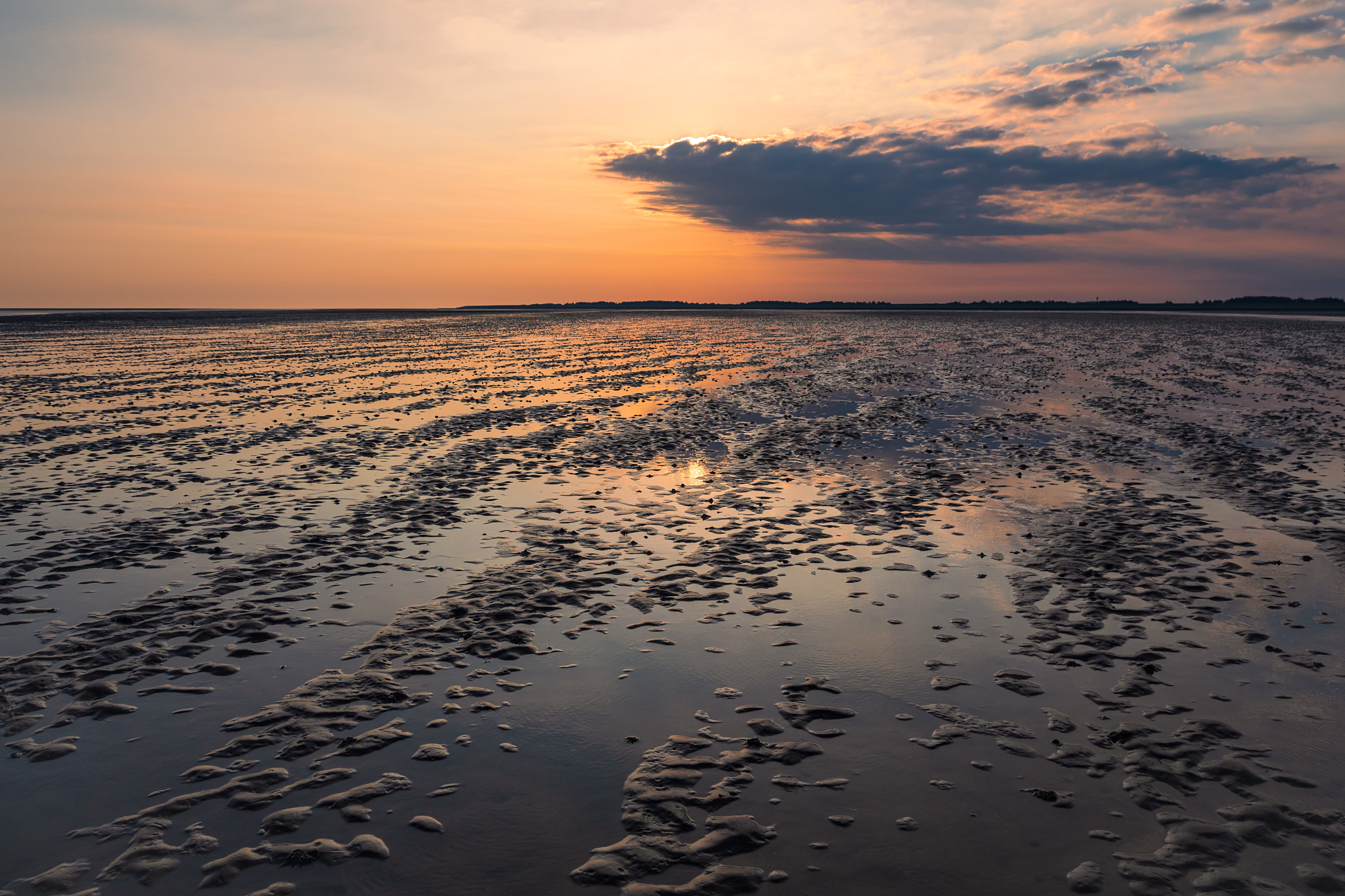 Jysk Landboforening udfordrer krav om 80% N-reduktion for Knude Dyb