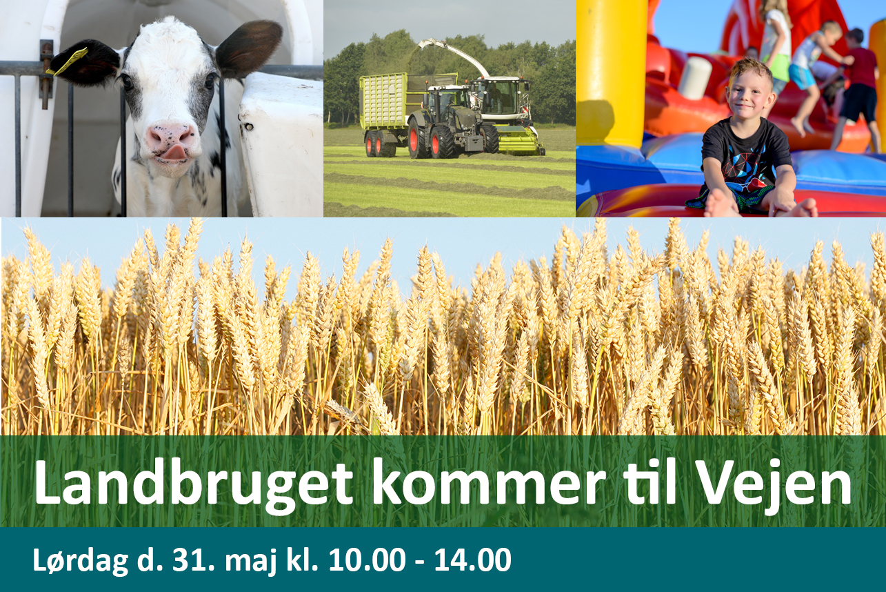 "Det her arrangement er simpelthen så vigtigt"