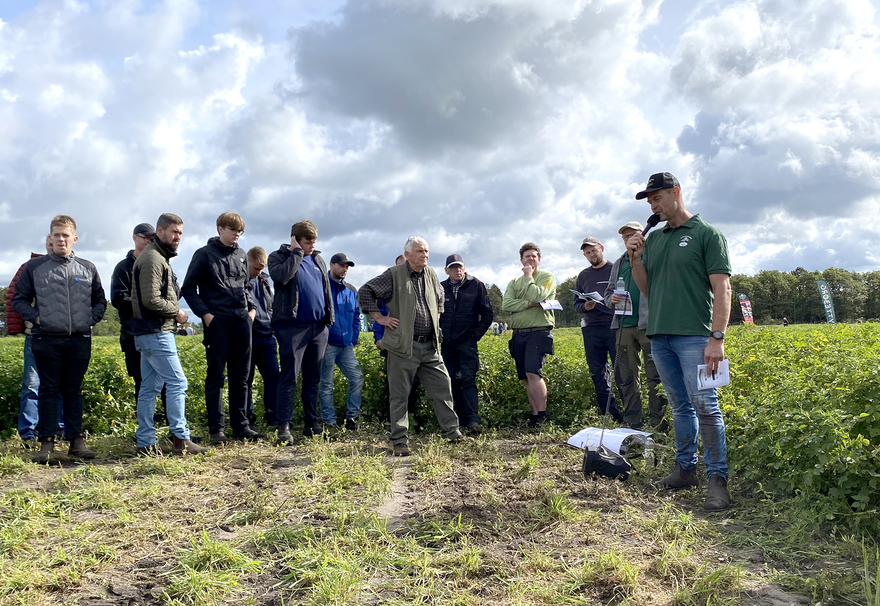Kartoffelavl - du kommer ikke sovende til en lykkelig afslutning
