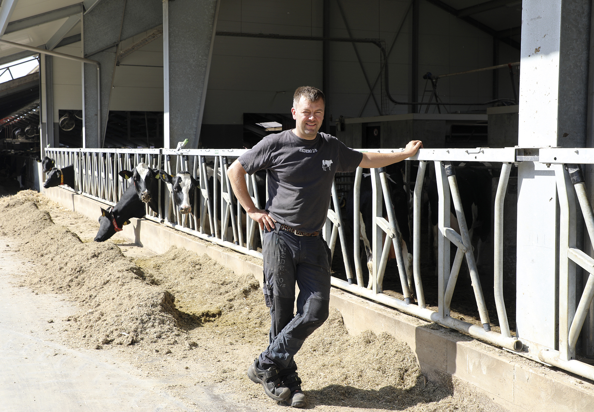 Gode takter med græs i stedet for majs