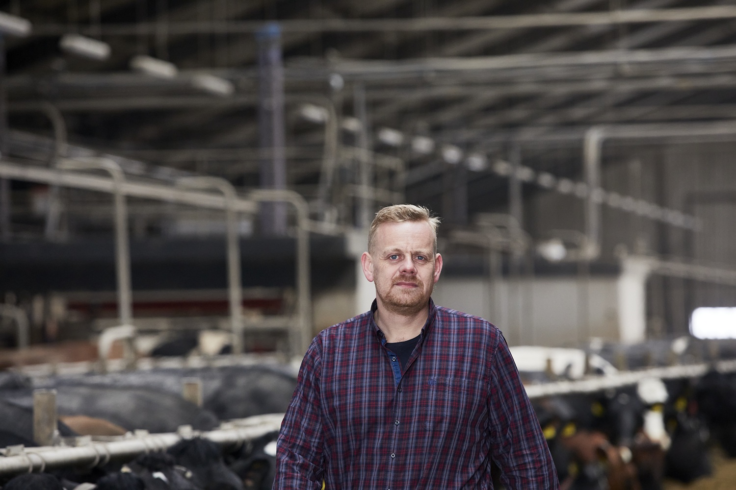 Stop hetzen mod landbruget – forstå nu markedsøkonomien, Thomas Skriver Jensen