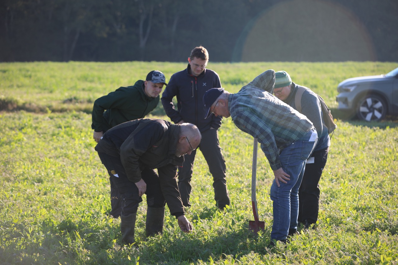 ”Det økologiske og regenerative er to sider af samme sag”
