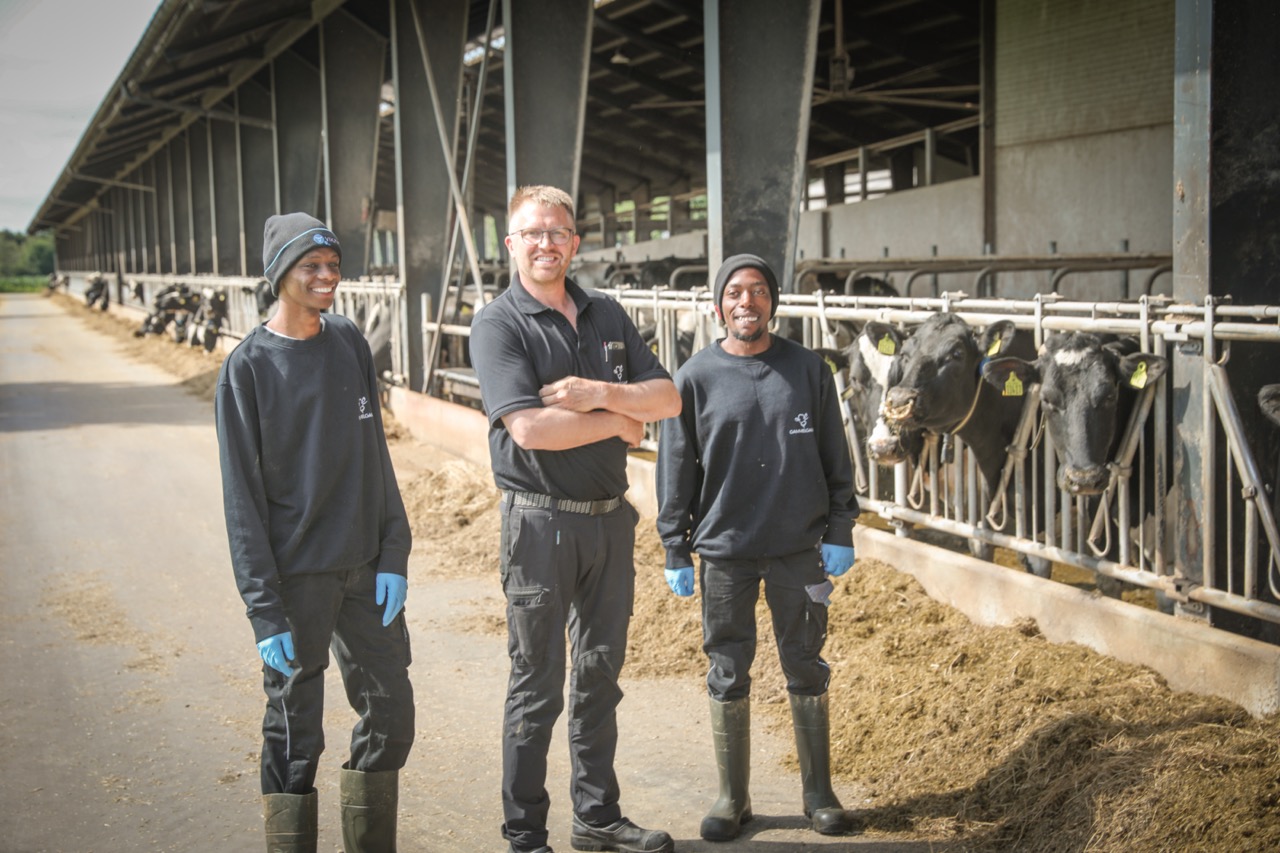 Gammelgaard og den afrikanske arbejdskraft