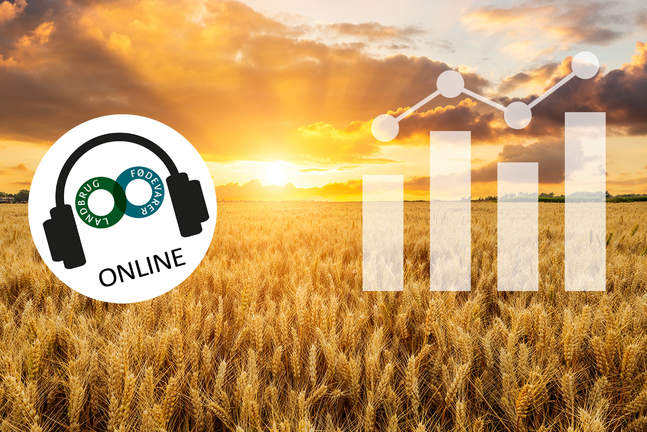 WEBINAR – Kampen om bundlinjen