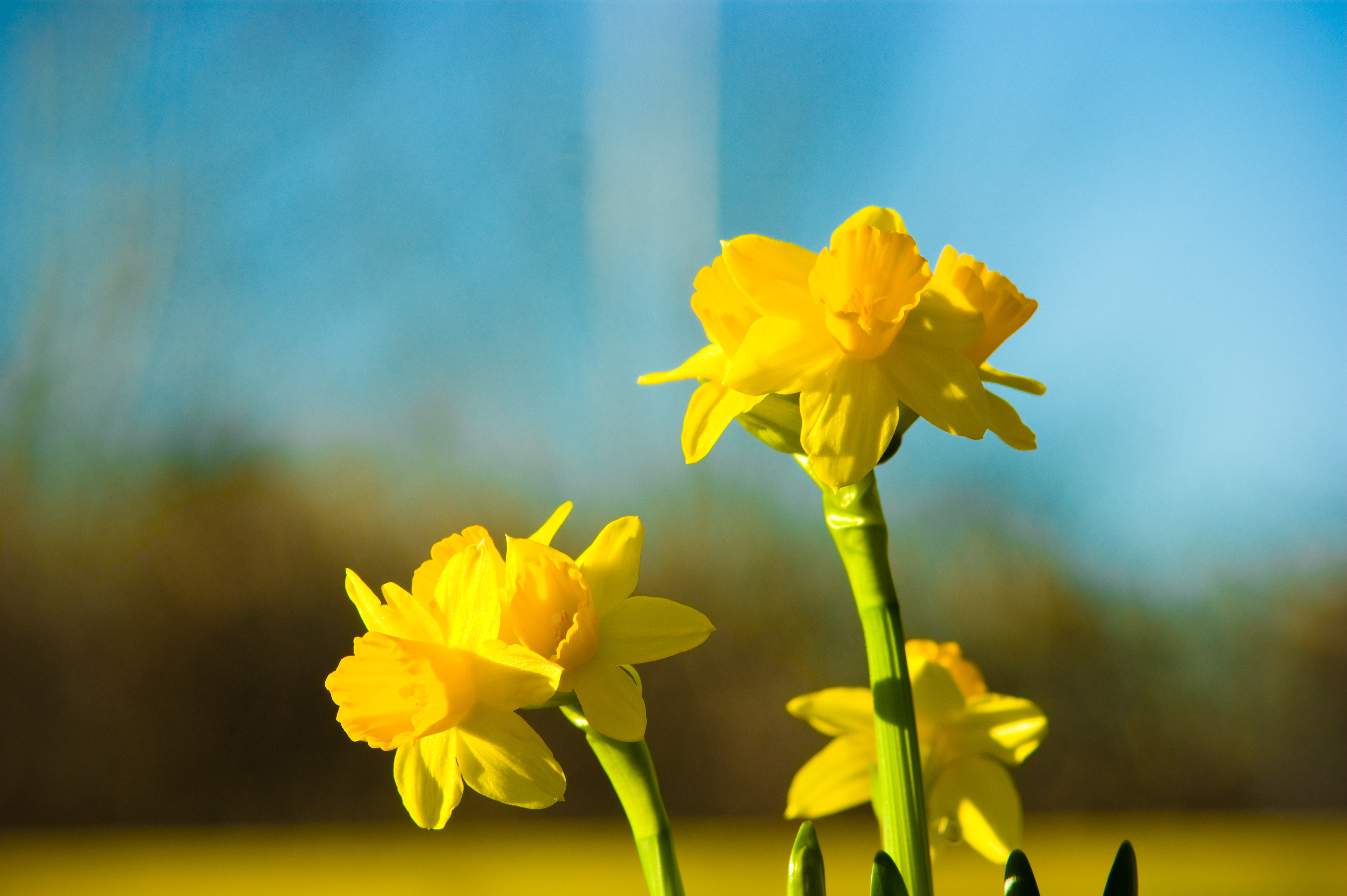 HERNING – Generalforsamling i Familielandbruget VEST-Jylland 2026