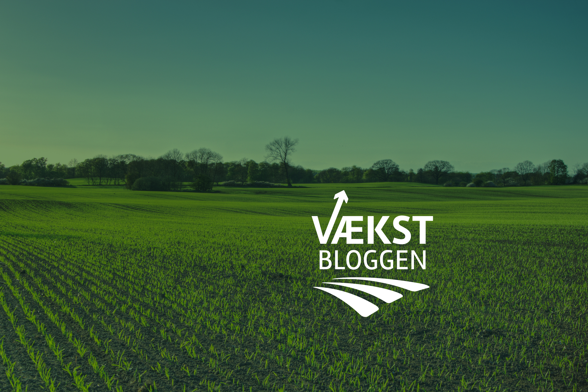 Følg med i marken 
– mens det sker