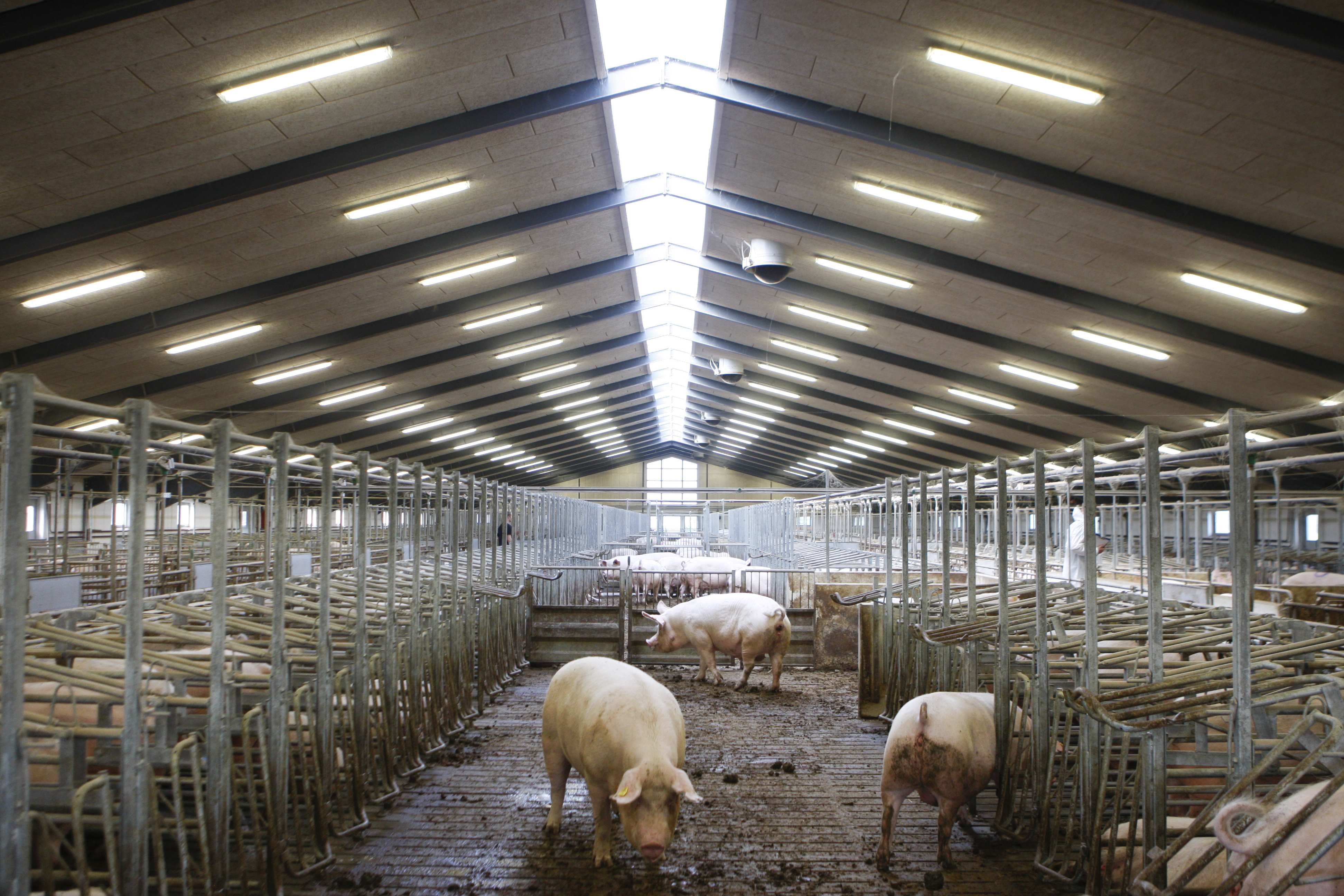 Netværksgruppe for resultatstærke besætninger