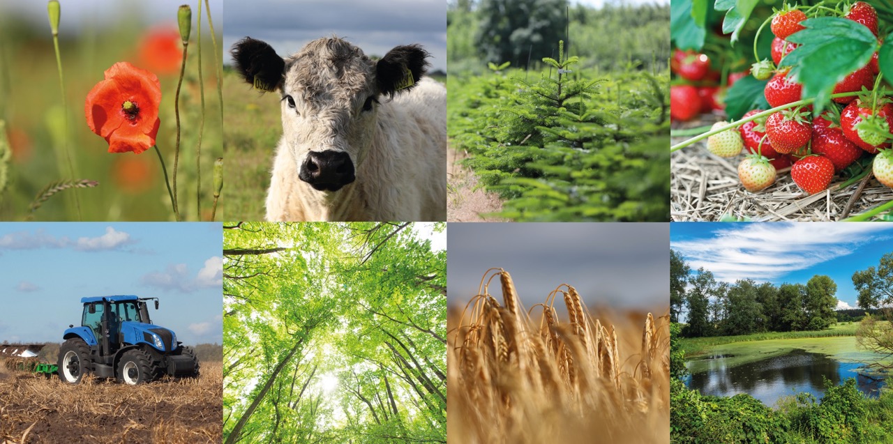 HERNING – Deltidslandbrug – fra idé til virkelighed