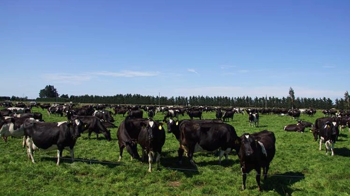 BEVTOFT – Afgræsningsarrangement Grill ´n grass hos Aslundgaard