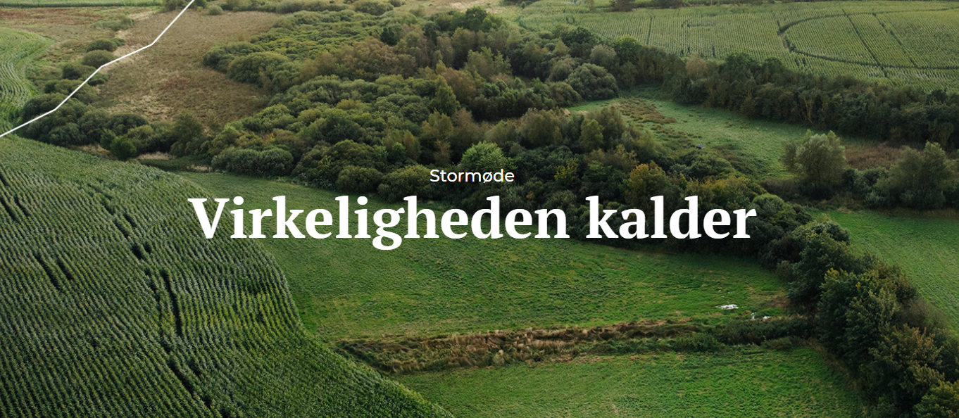 ODENSE - STORMØDE Virkeligheden Kalder