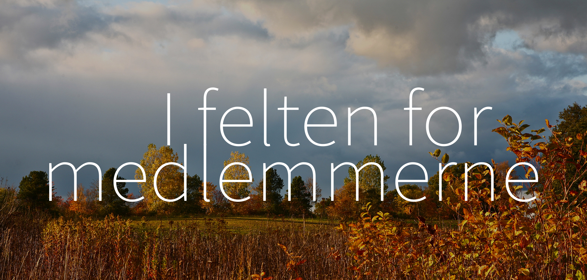 Header billede