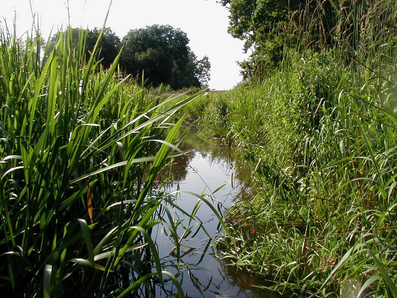 Landboforeningerne bag SAGRO glæder sig over undersøgelse af grundvandet