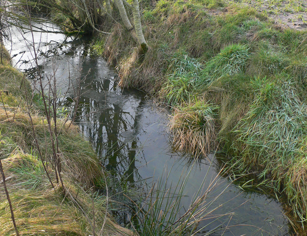 Har du vandløb, der bør udgå af vandområdeplanerne?