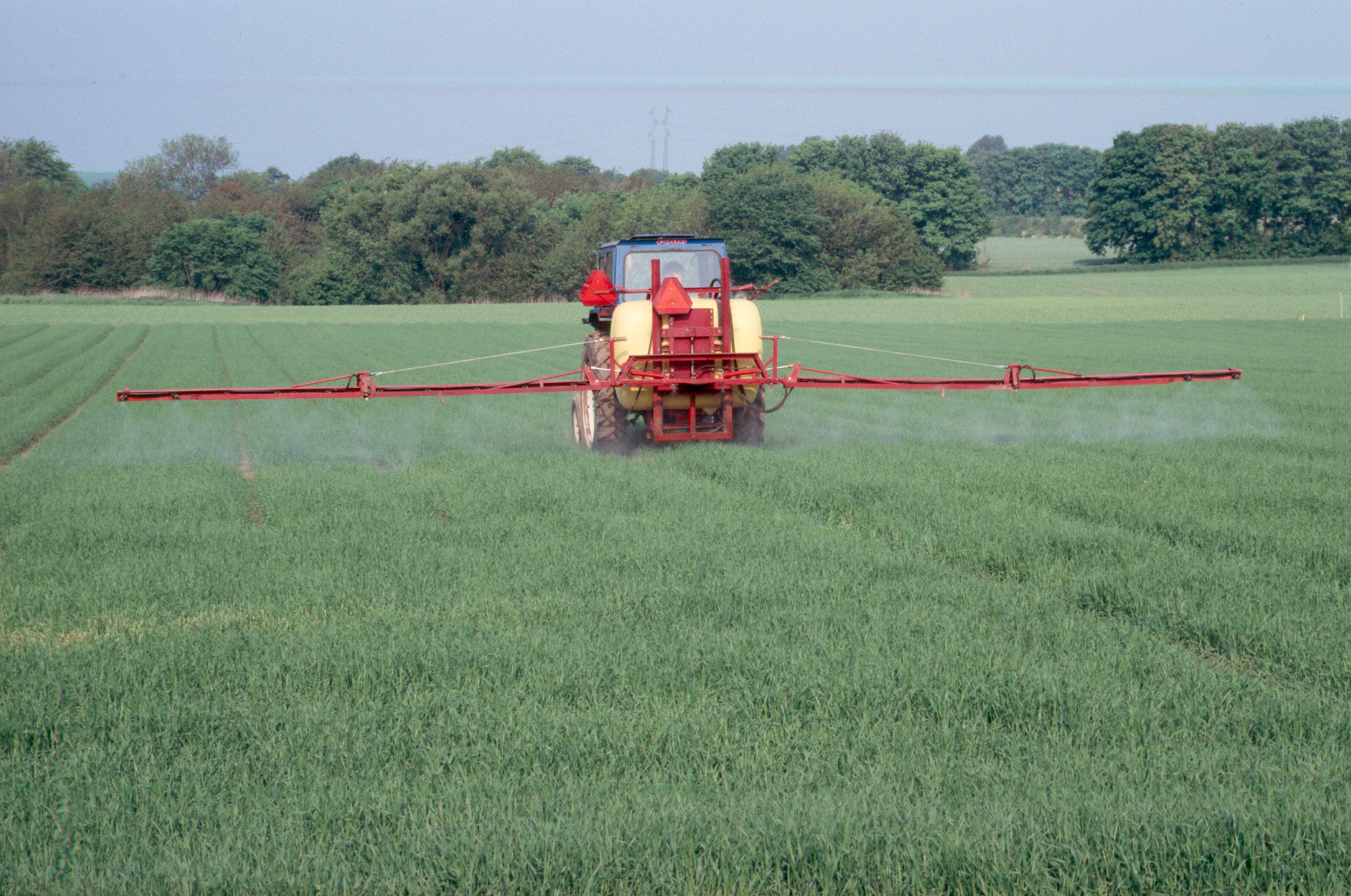 Kemitjek på din bedrift