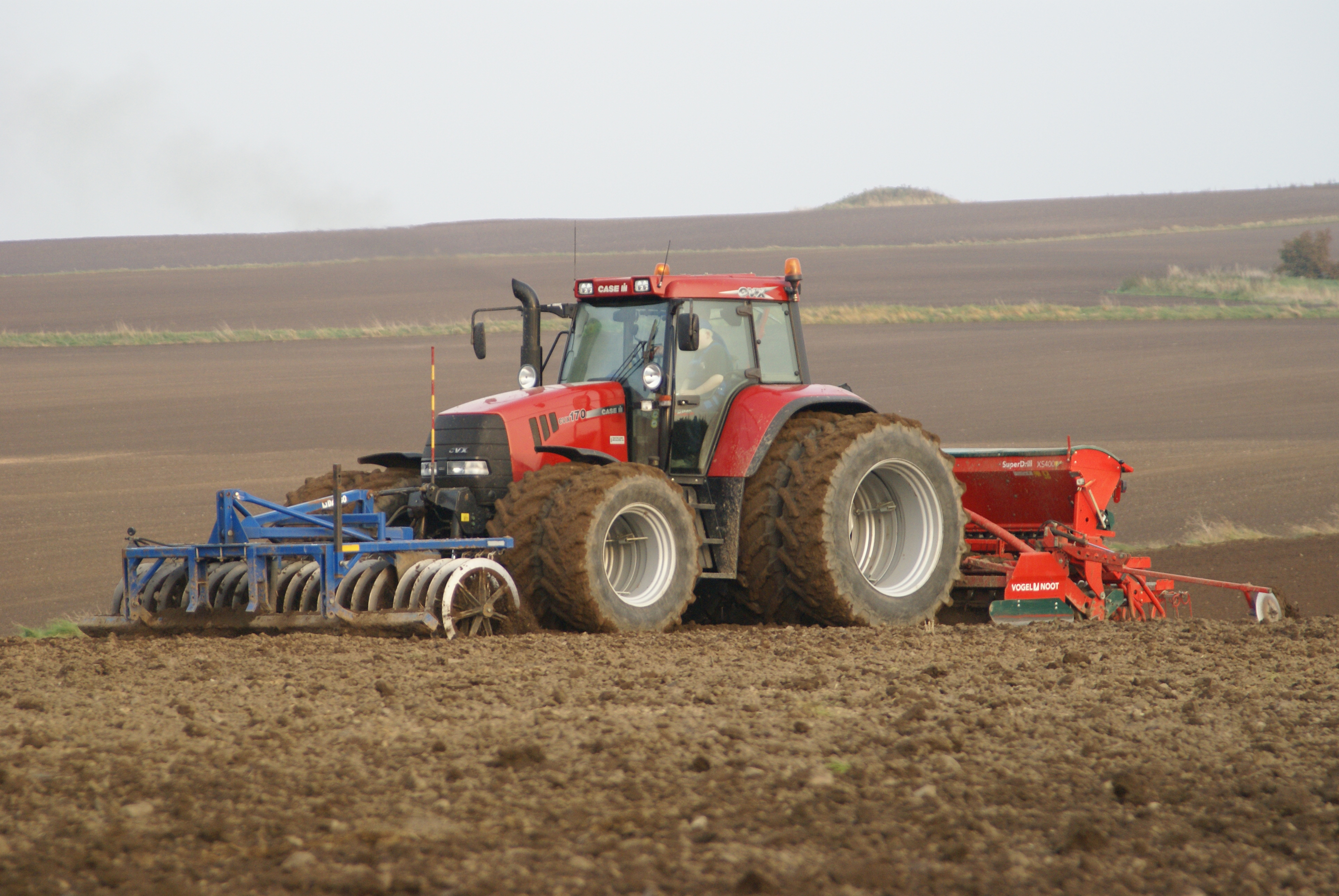 Efter stormende påske: Tjek dine frø