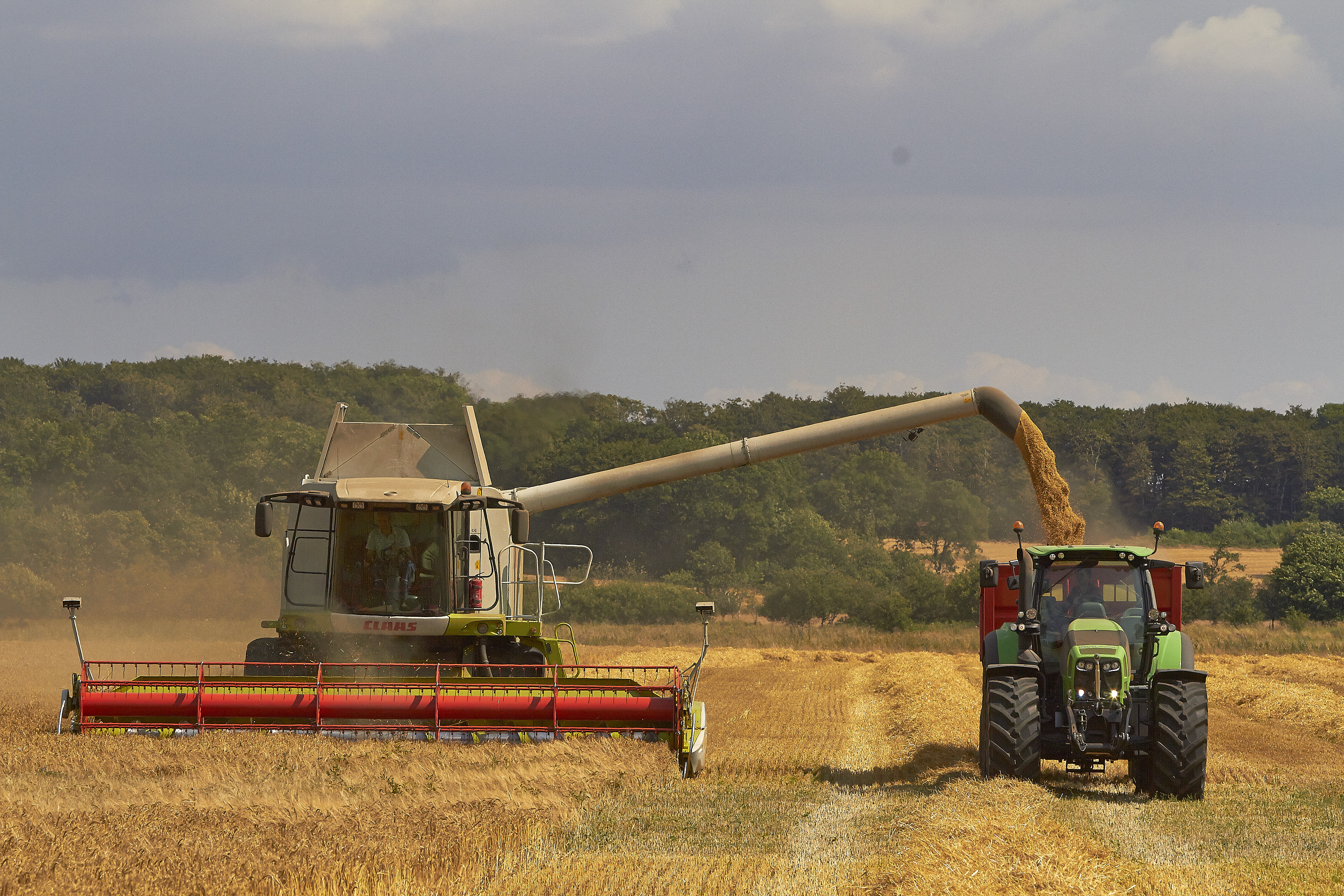 Hvis maskinen går i stå under høsten