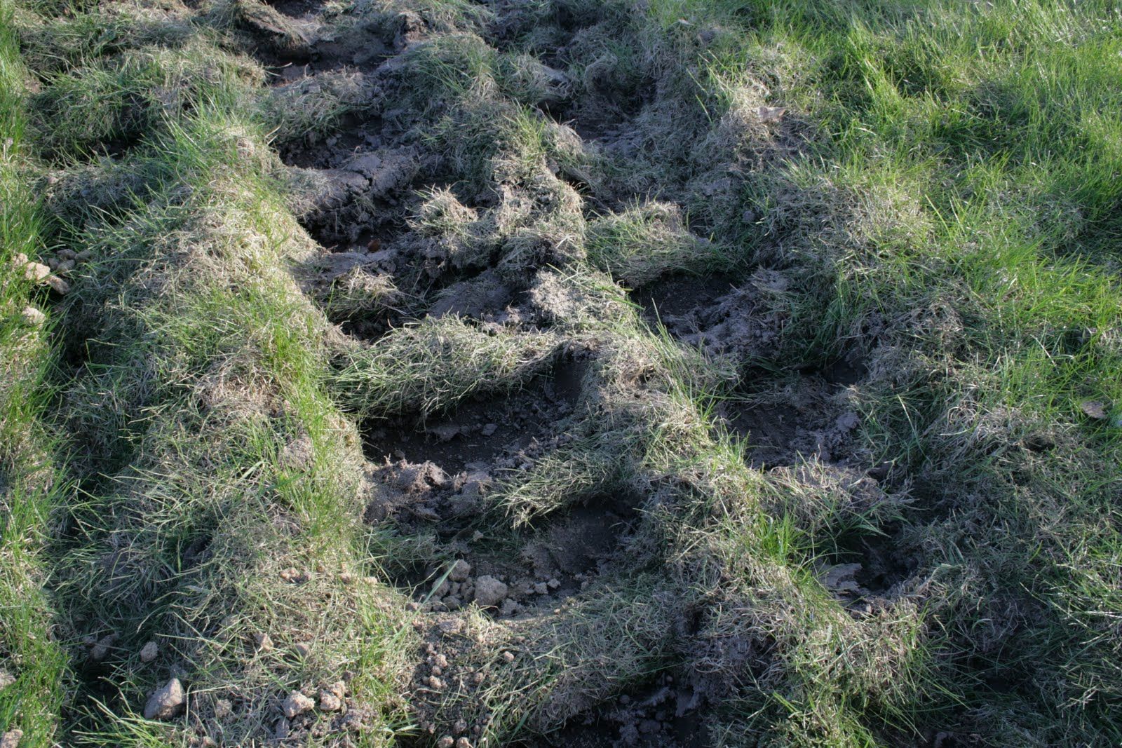 Har du erfaring med pakning af jord?