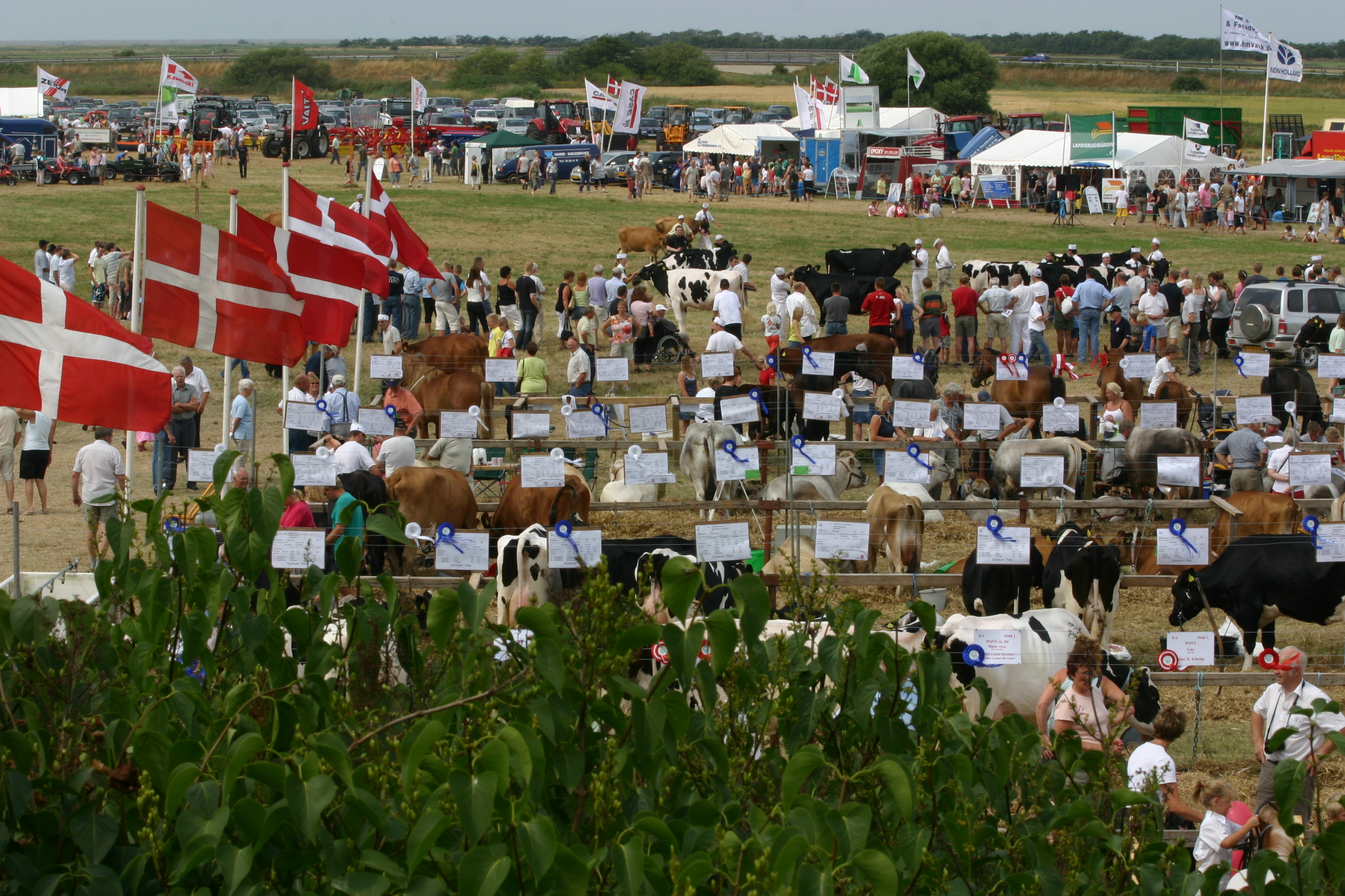 Tæt på udsolgt til Ribe Dyrskue