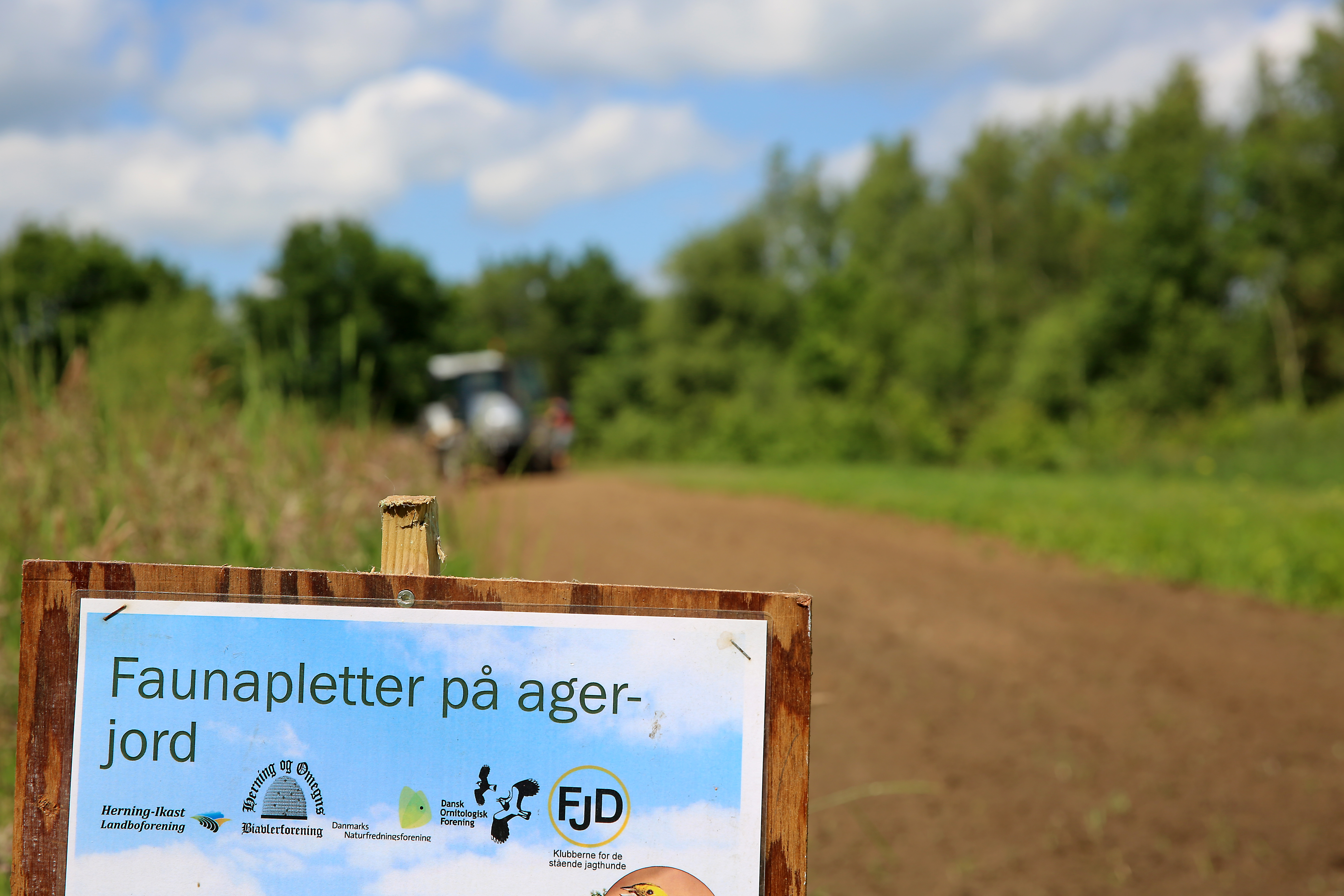 Midtjyske landmænd går naturen i bedene