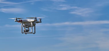 Droneudlagt fårefedt stopper høstdrab af rådyrlam