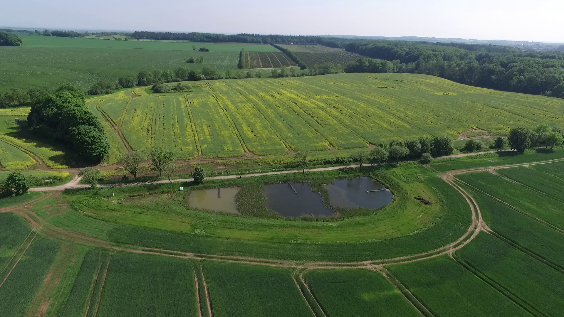 Oplandskonsulenter tilbyder gratis rådgivning