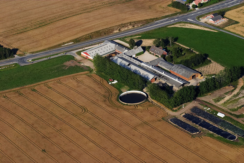 Stiger dine forsikringer også til nytår?