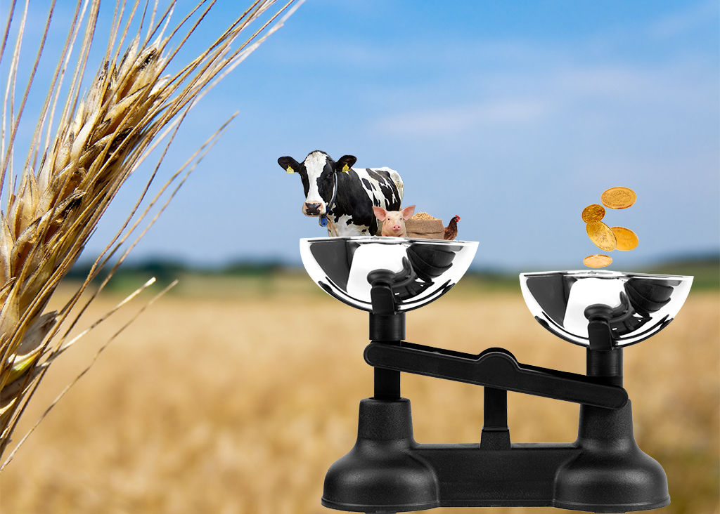 Mælkeproducenter har potentiale til mere