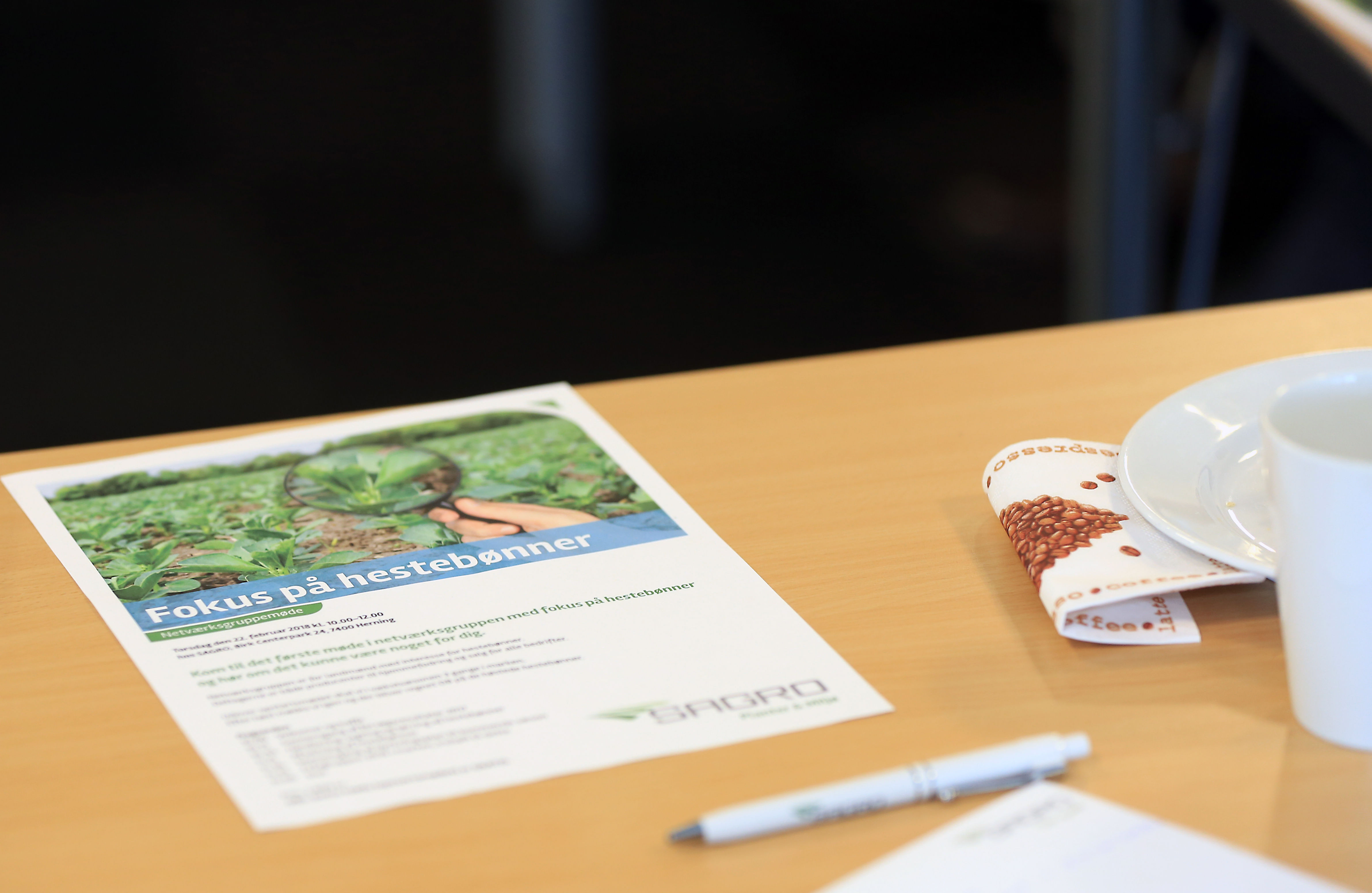 Flere vil dyrke hestebønner