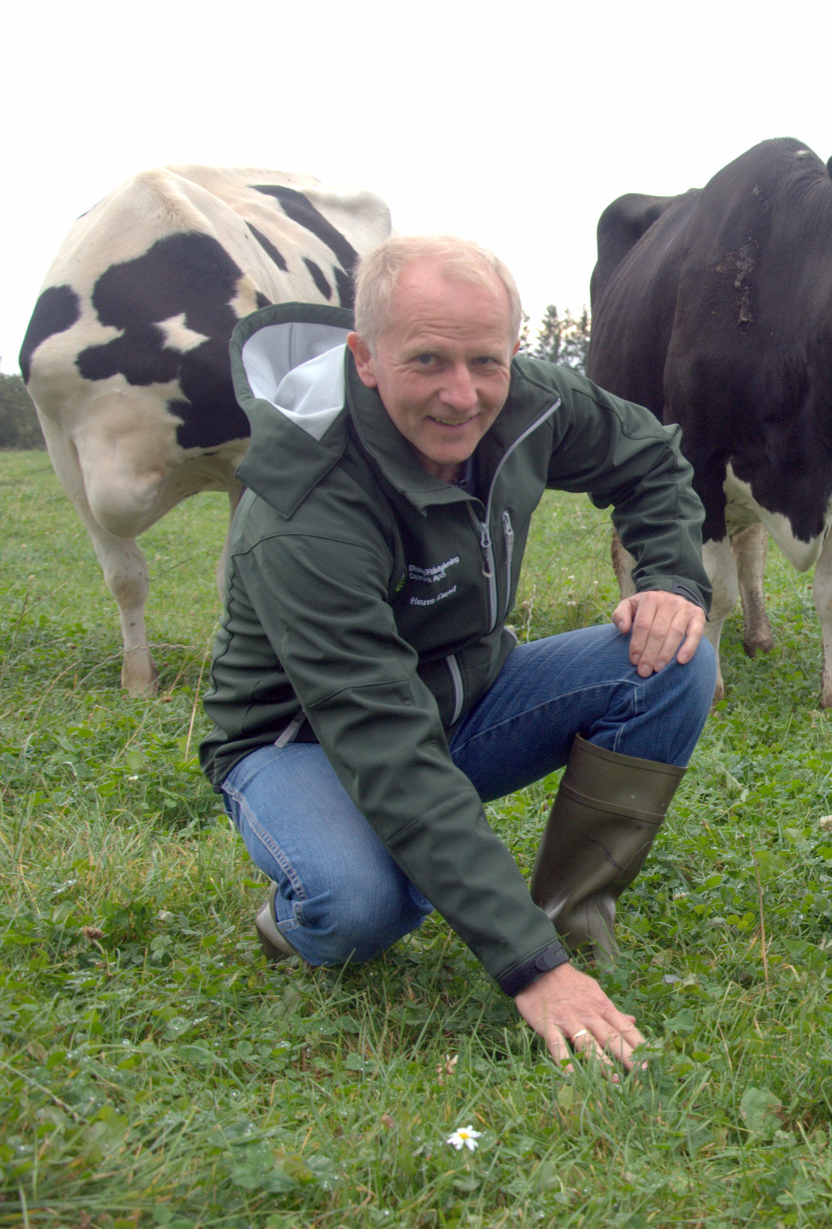 Guldet ligger i græsmarken